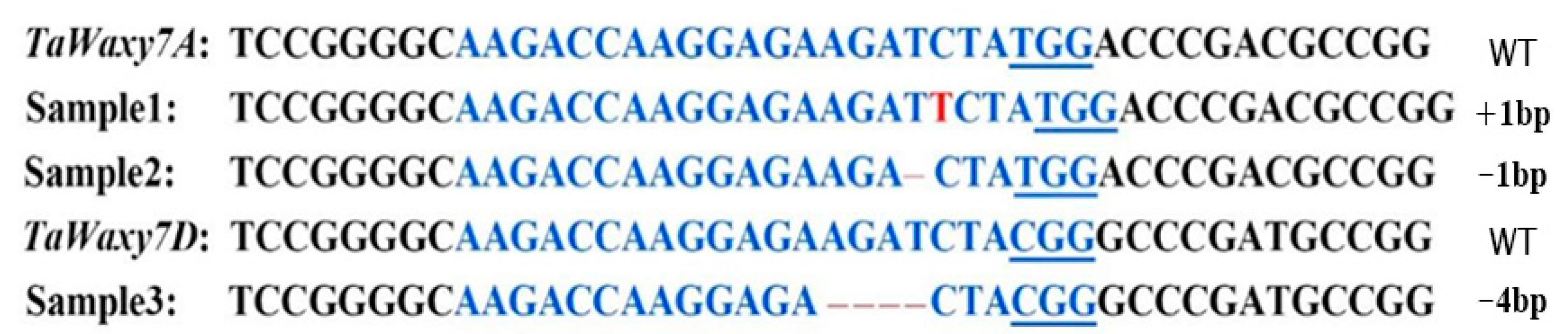 Ijms 24 04416 g003 Ijms 24 04416 g003