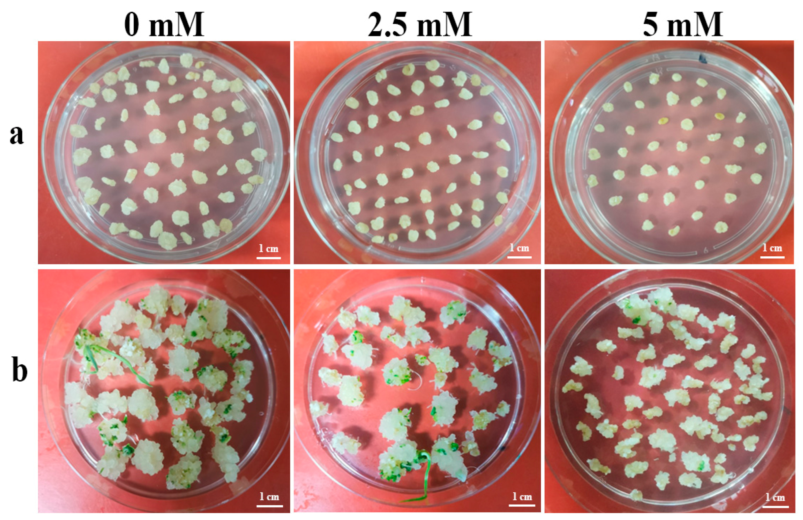 Ijms 24 04416 g004 Ijms 24 04416 g004