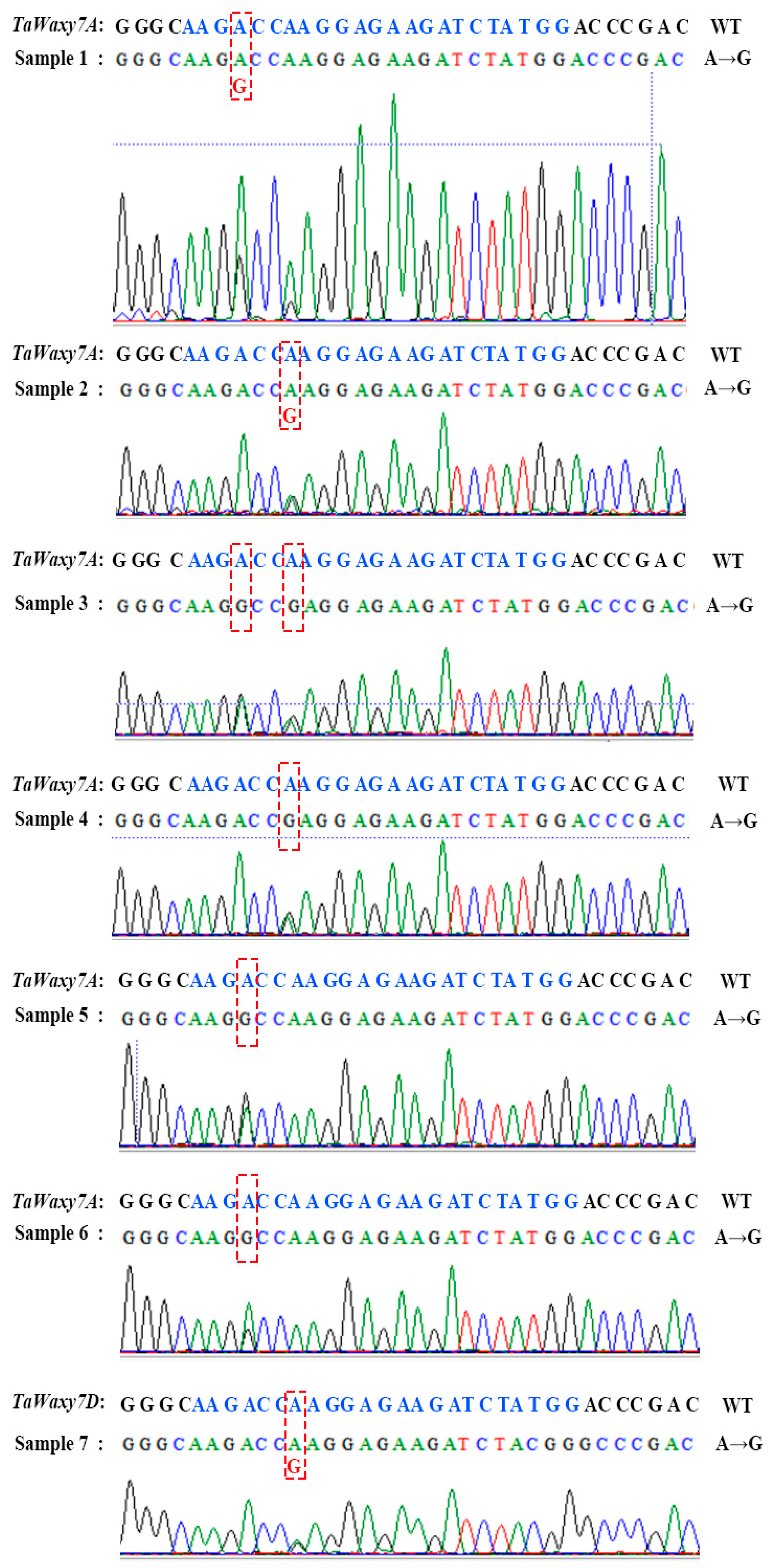 Ijms 24 04416 g005 Ijms 24 04416 g005
