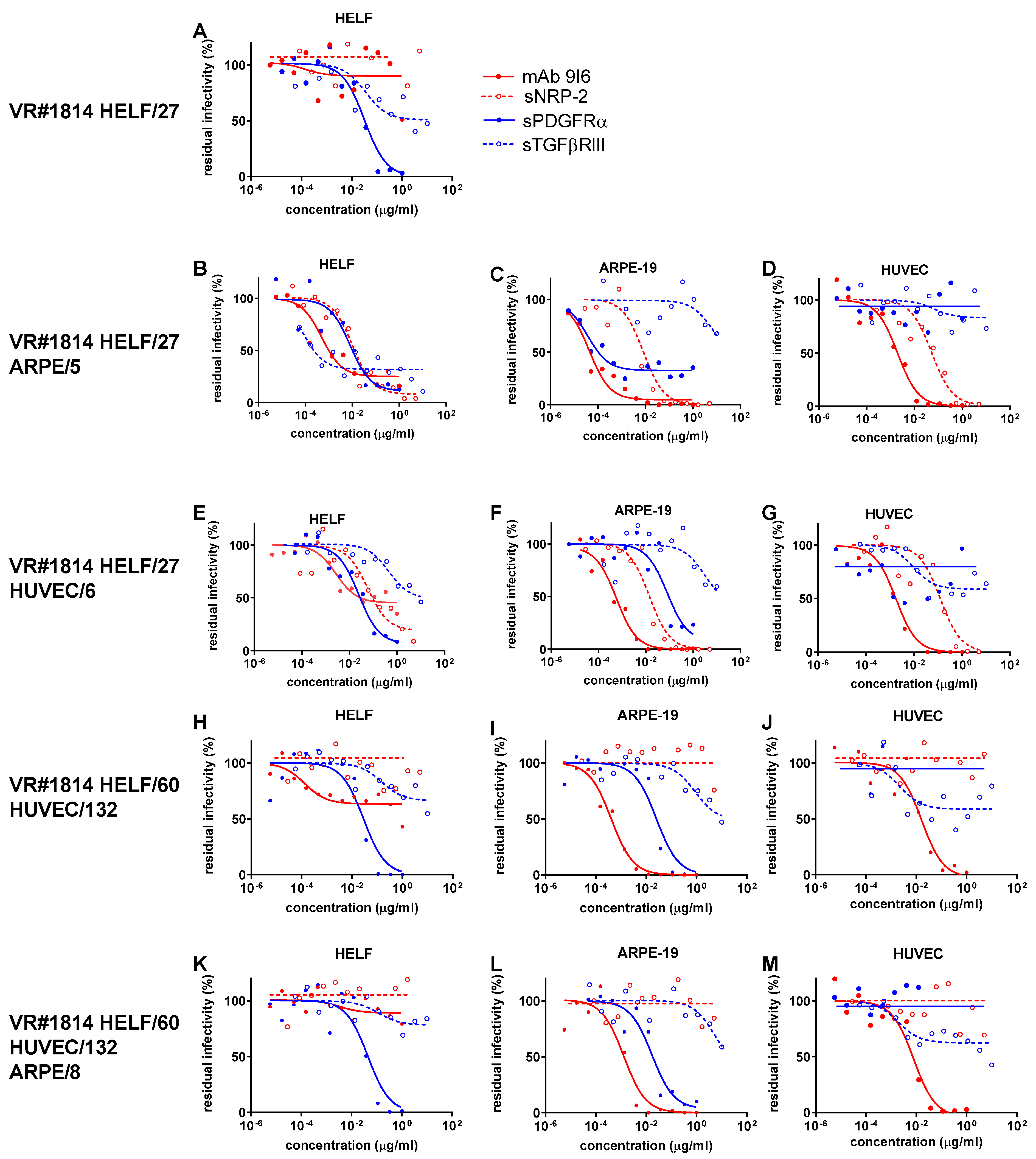 Ijms 24 04417 g004 Ijms 24 04417 g004