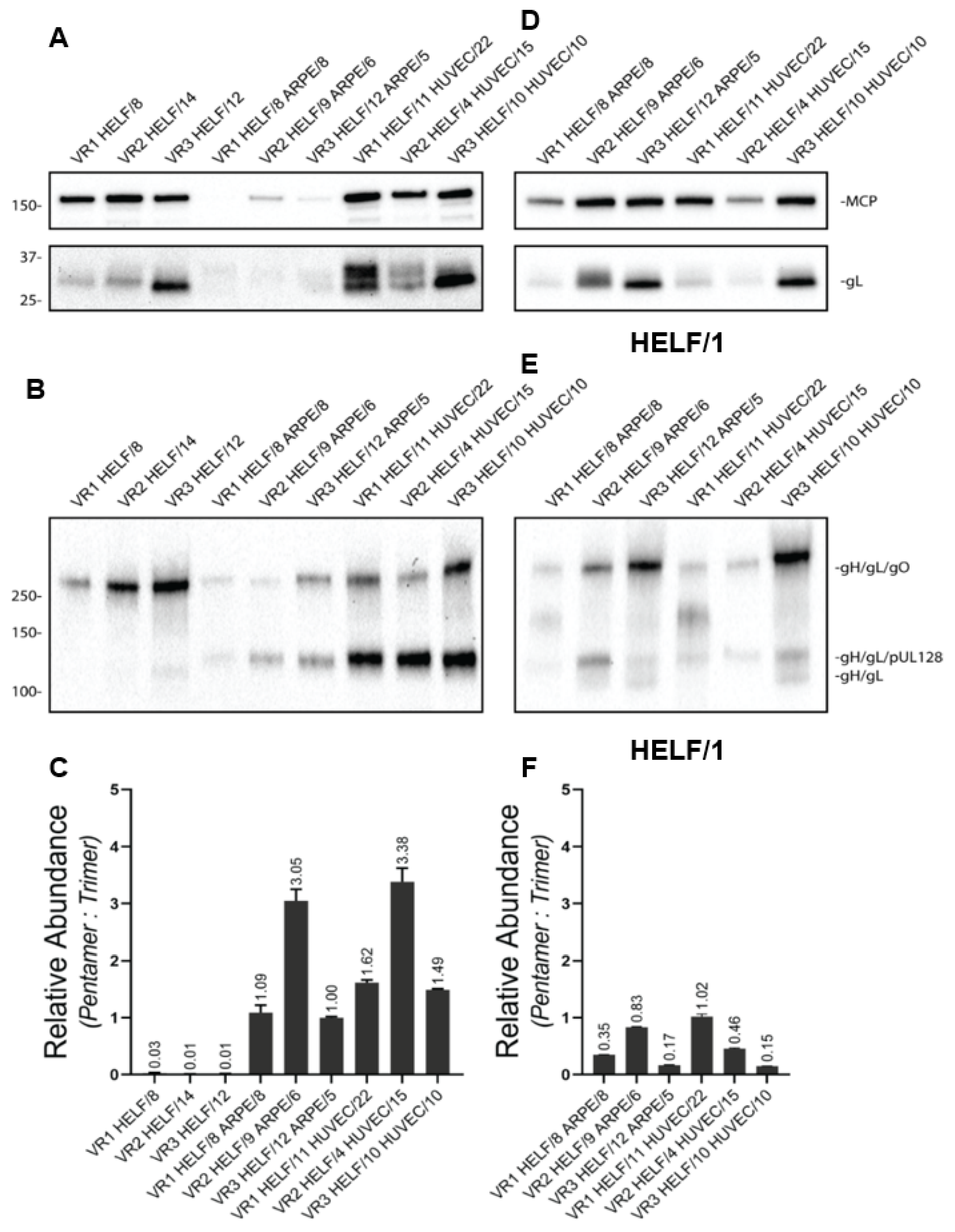 Ijms 24 04417 g005 Ijms 24 04417 g005