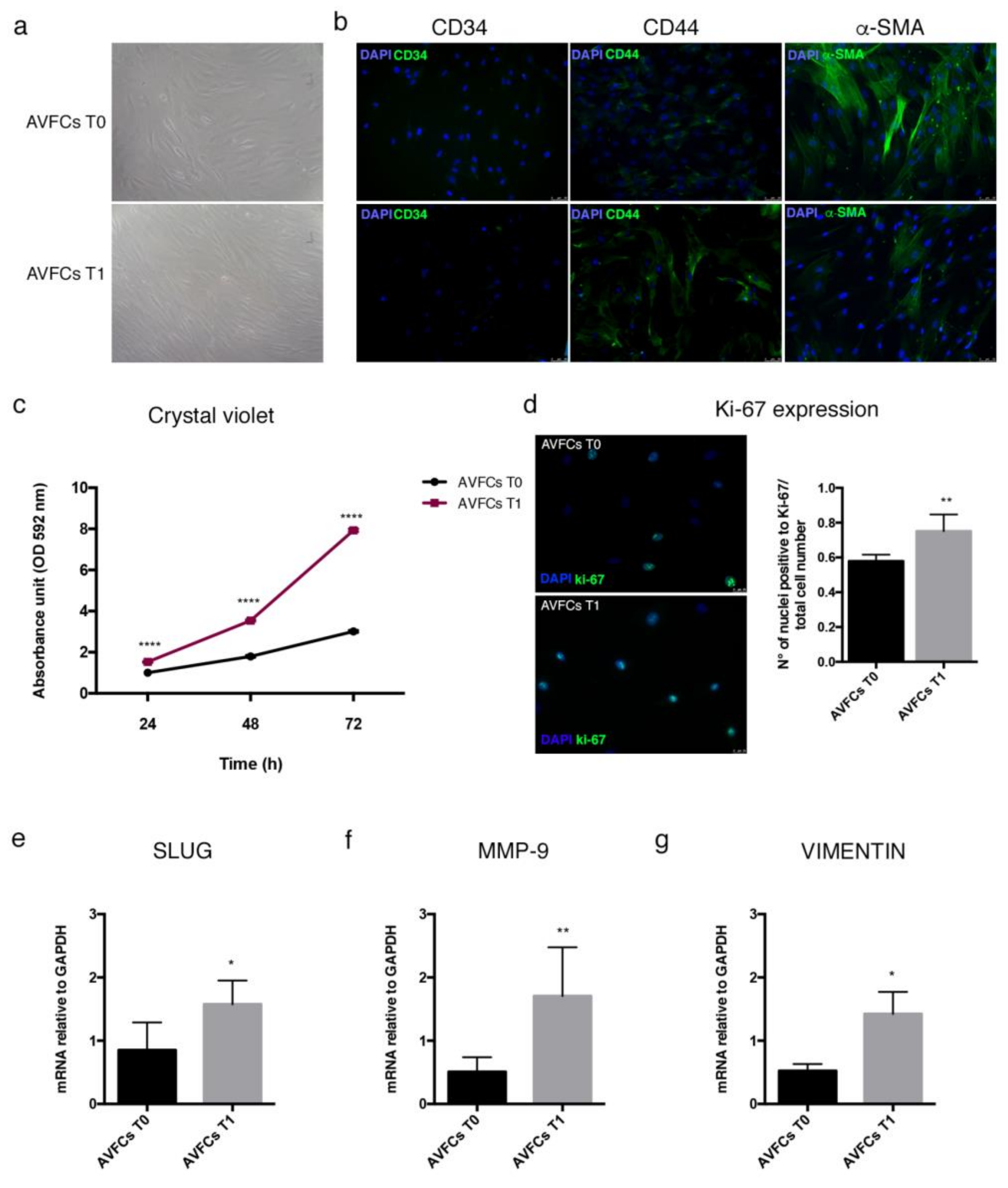 Ijms 24 04424 g004 Ijms 24 04424 g004