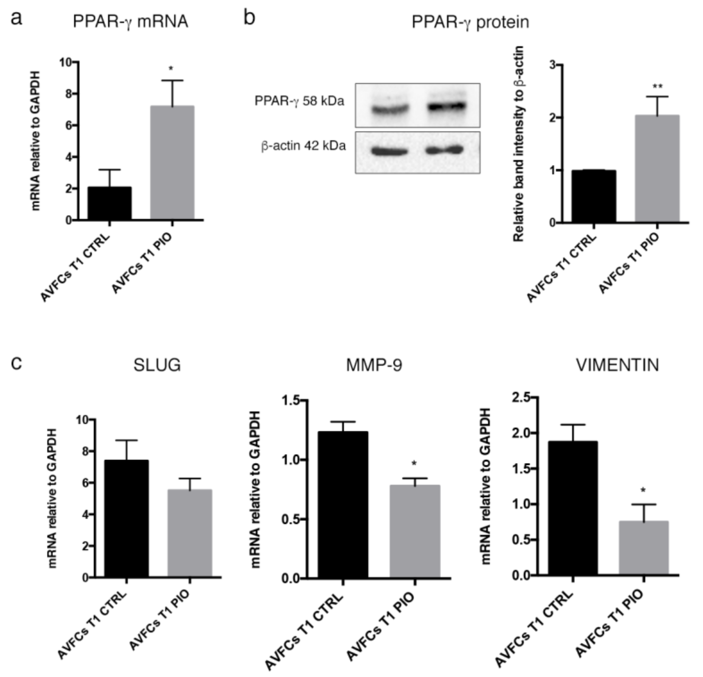 Ijms 24 04424 g006 Ijms 24 04424 g006