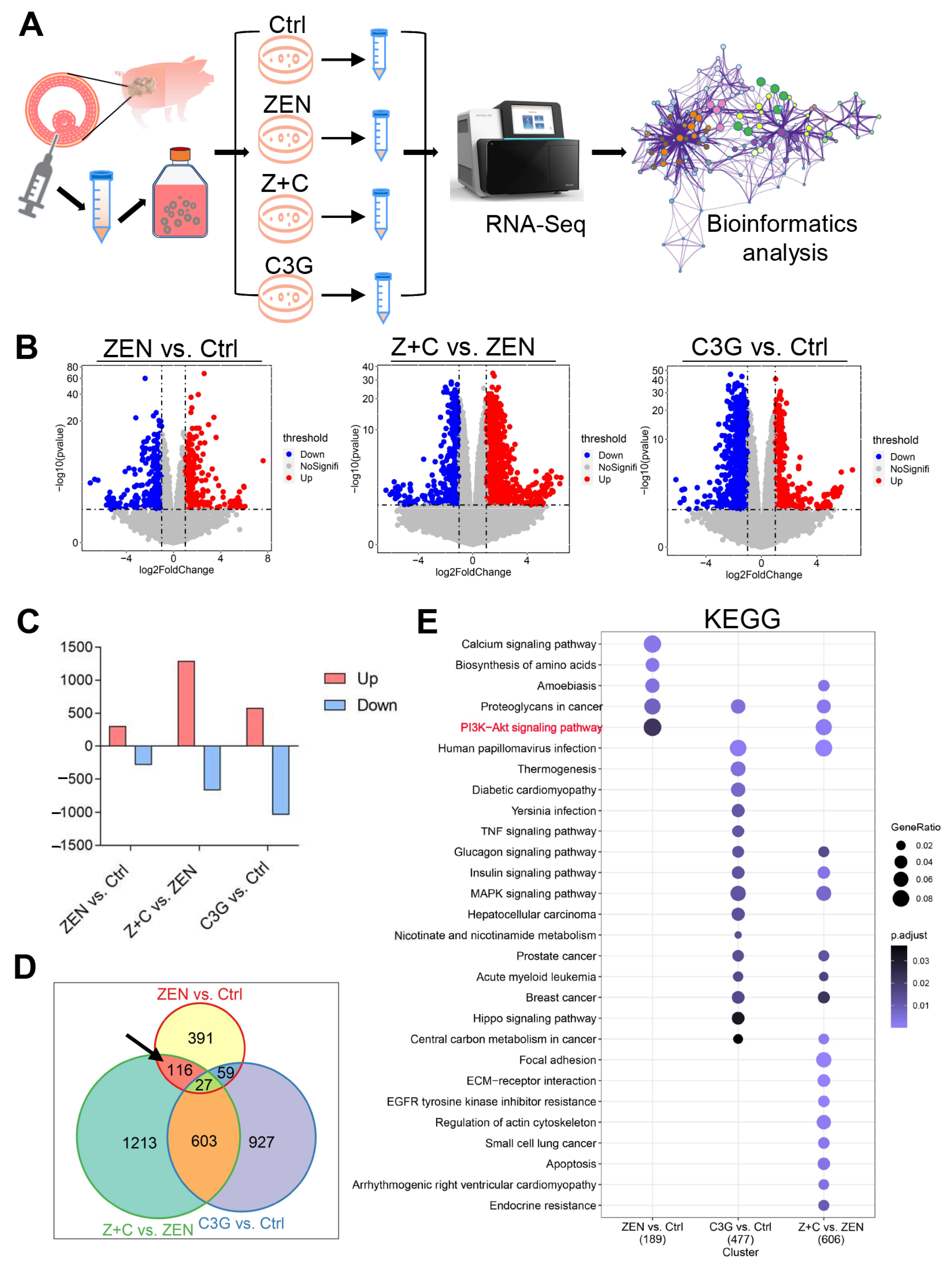 Ijms 24 04441 g003 Ijms 24 04441 g003