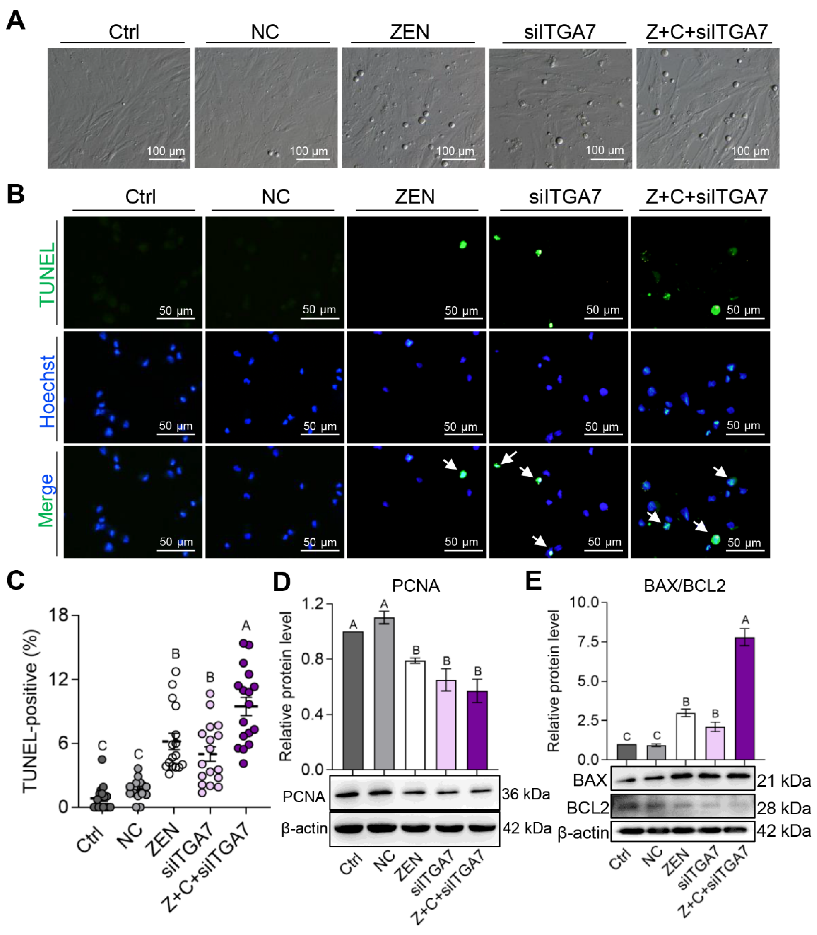 Ijms 24 04441 g006 Ijms 24 04441 g006