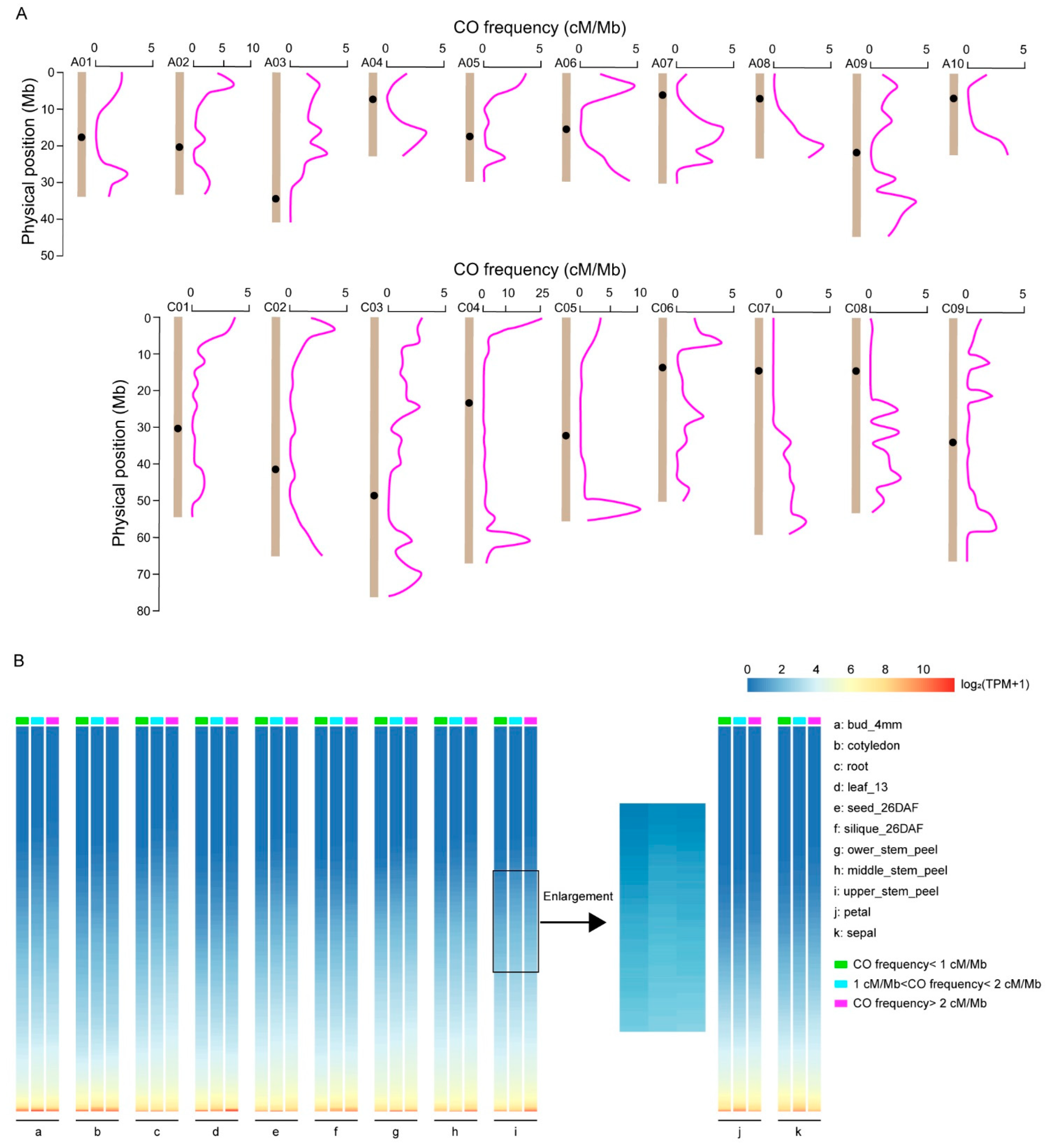 Ijms 24 04469 g002 Ijms 24 04469 g002
