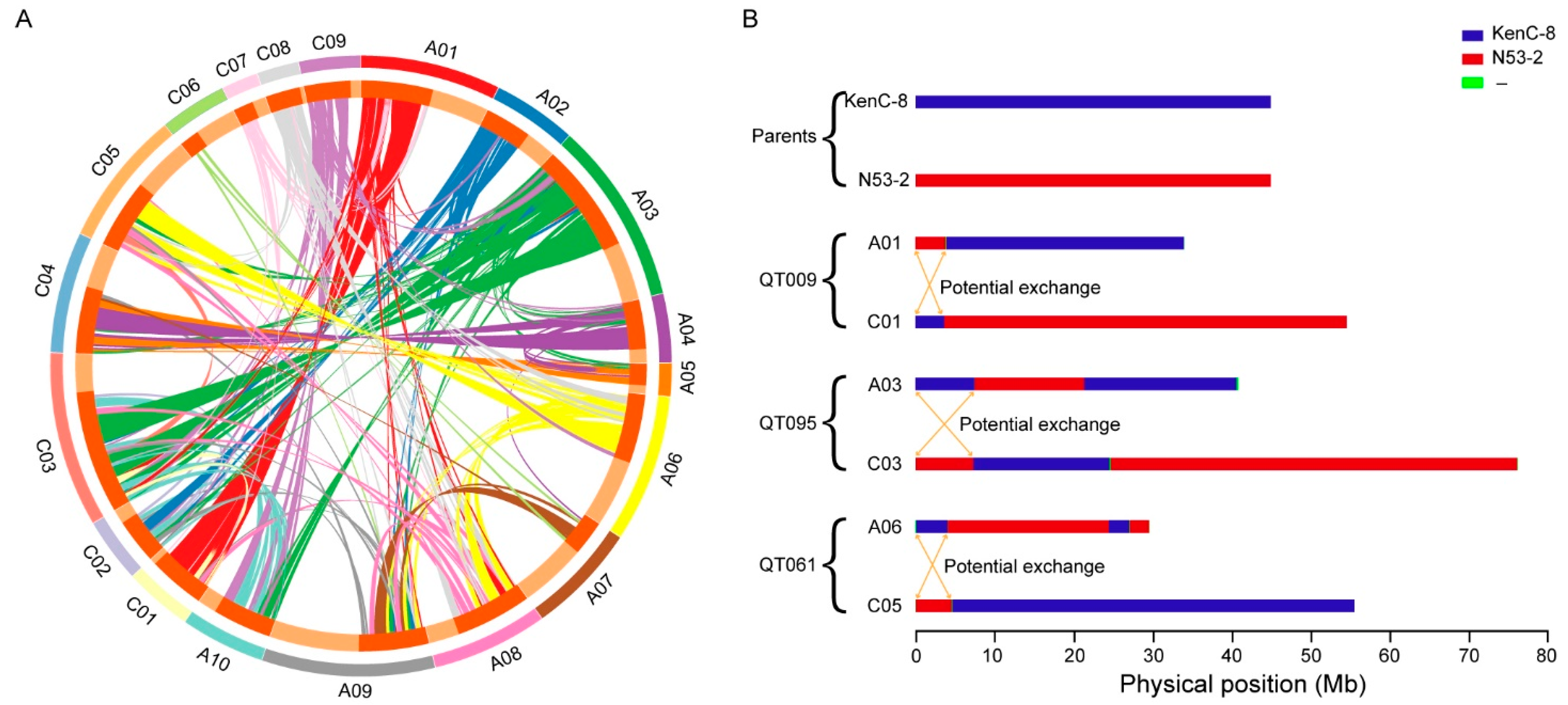 Ijms 24 04469 g004 Ijms 24 04469 g004