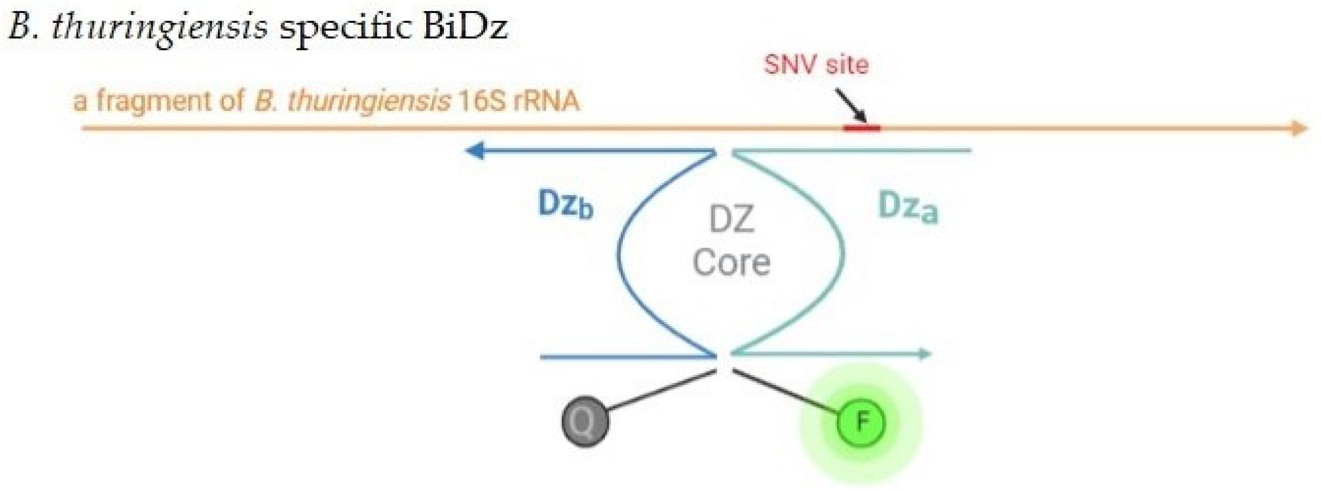 Ijms 24 04473 g001 Ijms 24 04473 g001