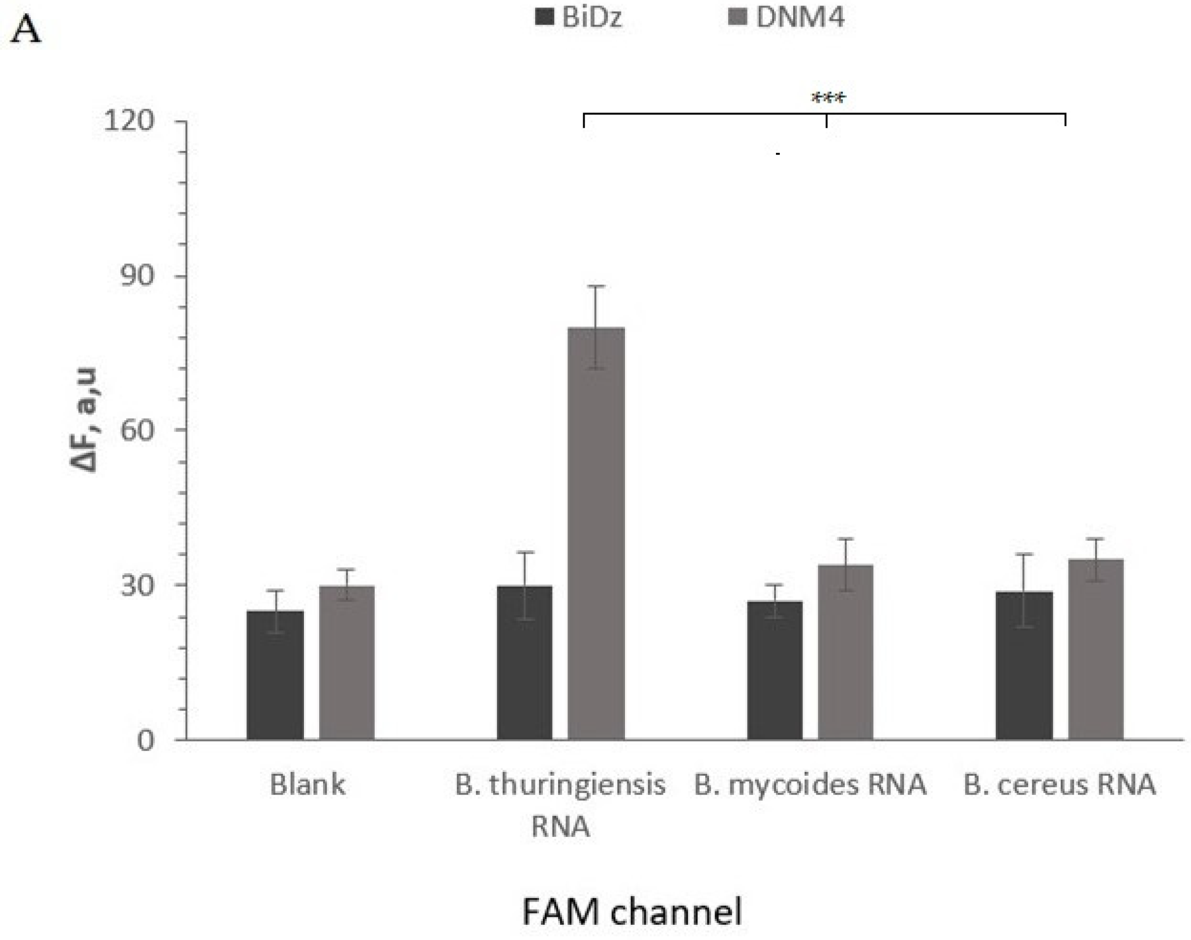 Ijms 24 04473 g005a Ijms 24 04473 g005a