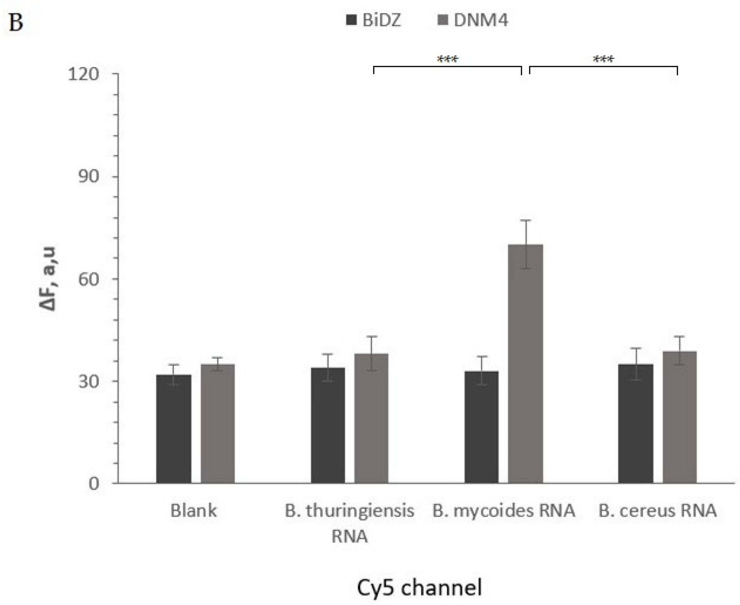 Ijms 24 04473 g005b Ijms 24 04473 g005b