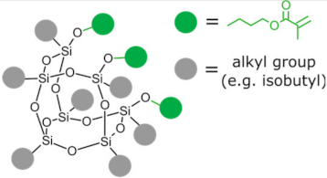 Ijms 24 04493 i002 Ijms 24 04493 i002