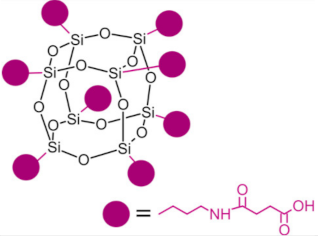 Ijms 24 04493 i006 Ijms 24 04493 i006