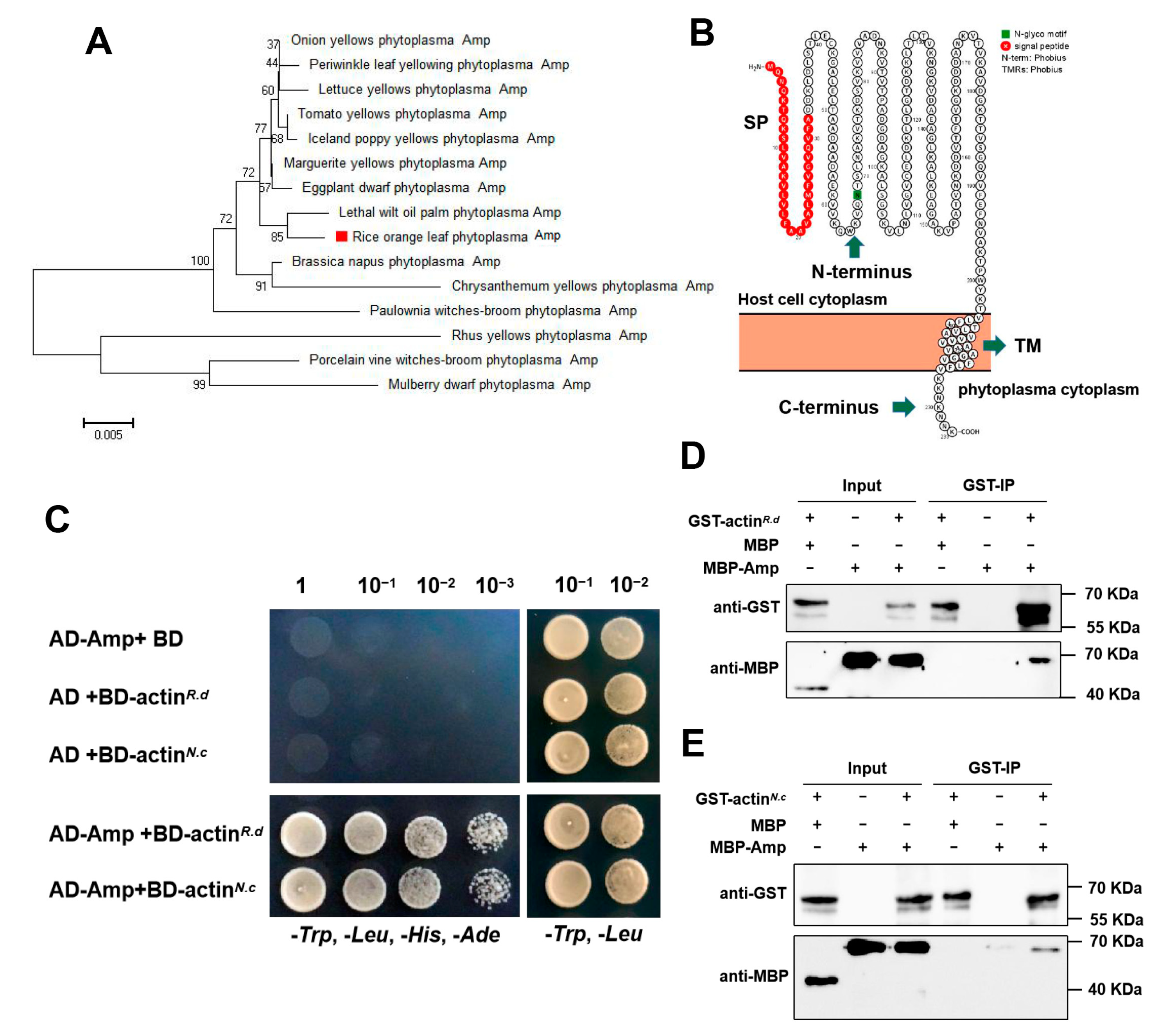 Ijms 24 04494 g001 Ijms 24 04494 g001