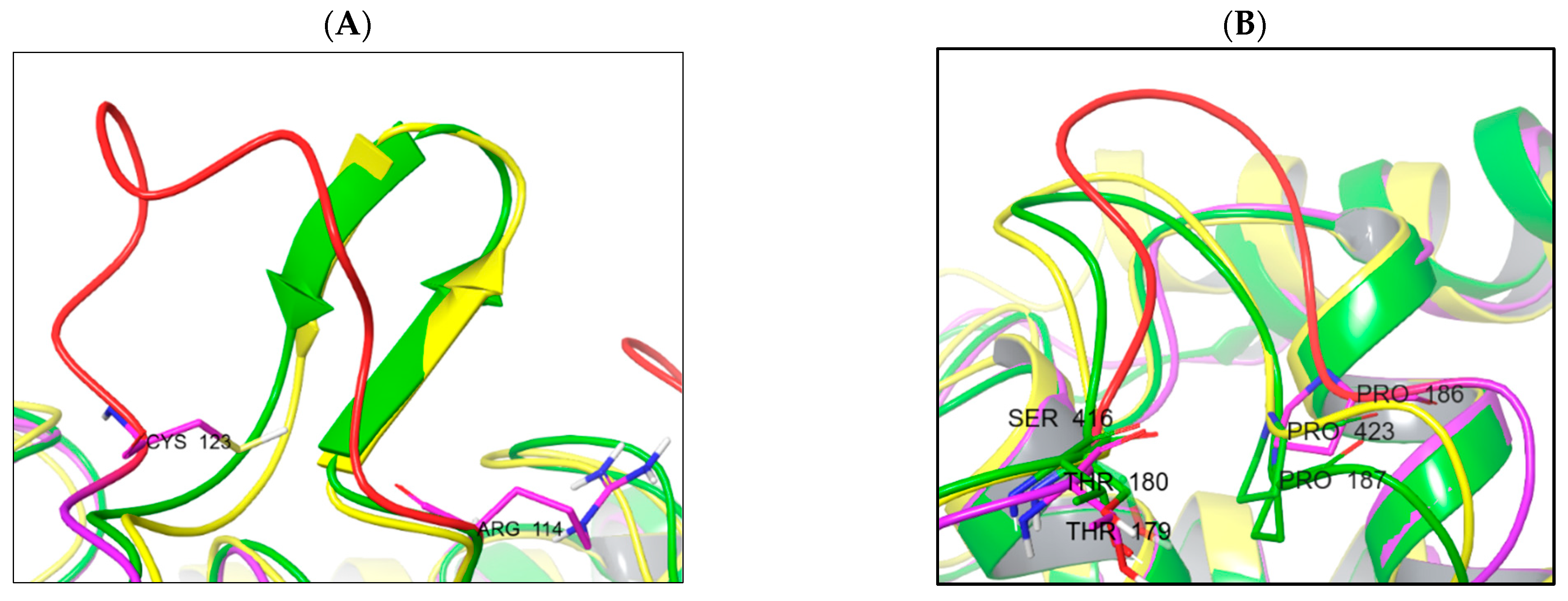 Ijms 24 04498 g007 Ijms 24 04498 g007