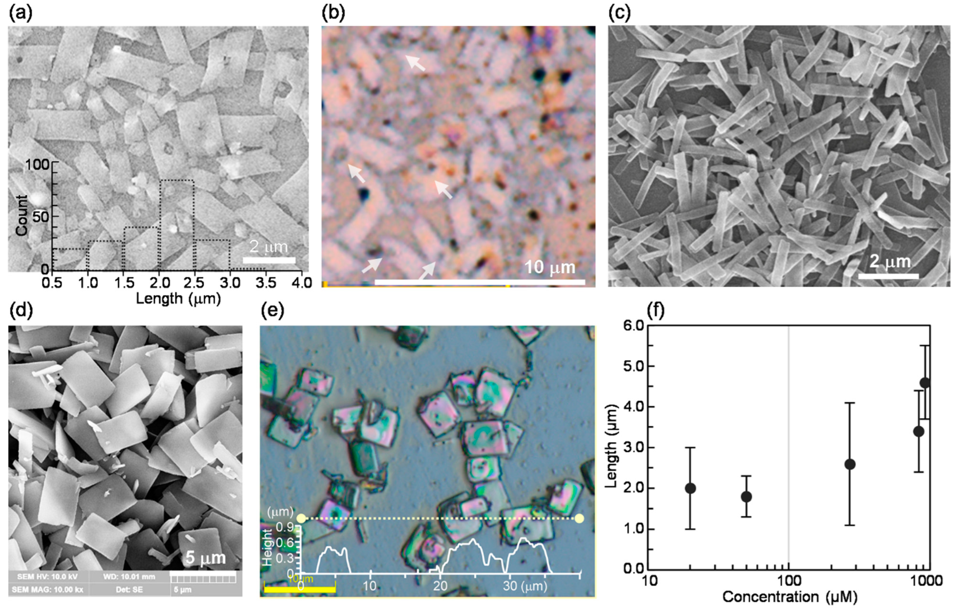 Ijms 24 04504 g003 Ijms 24 04504 g003