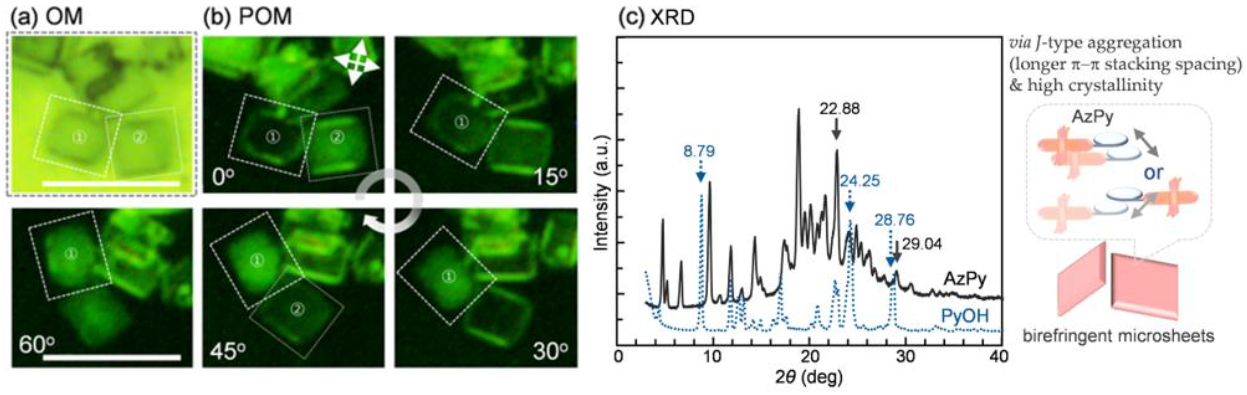 Ijms 24 04504 g006 Ijms 24 04504 g006