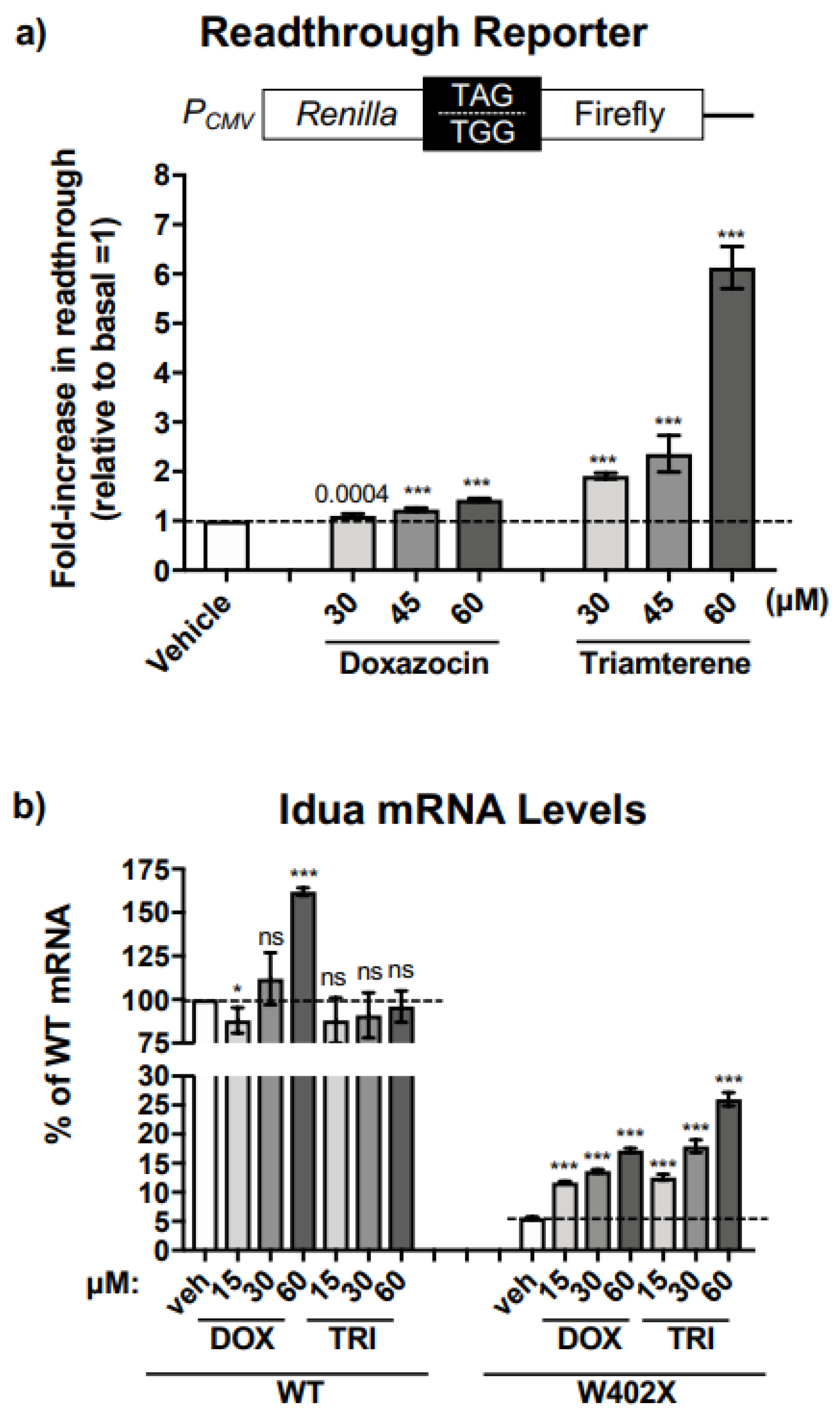 Ijms 24 04521 g003 Ijms 24 04521 g003