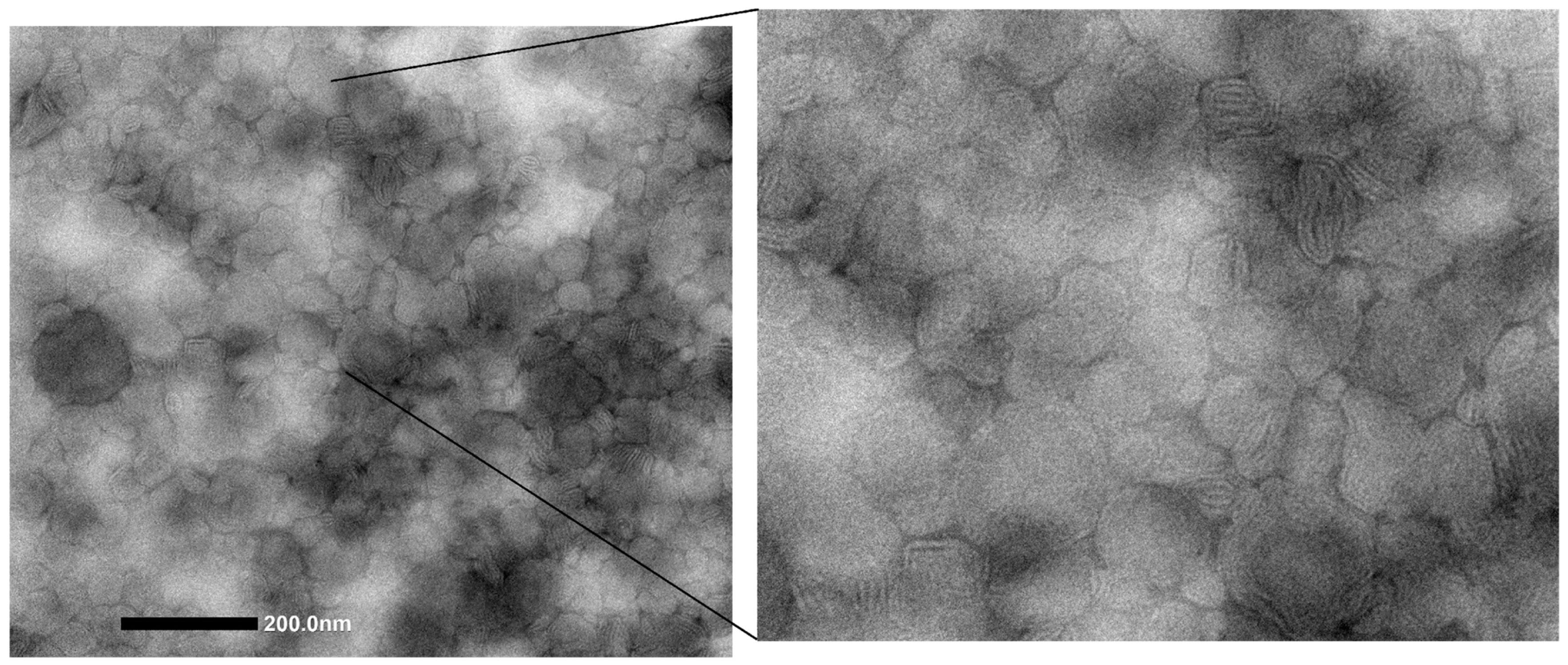 Ijms 24 04552 g002 Ijms 24 04552 g002