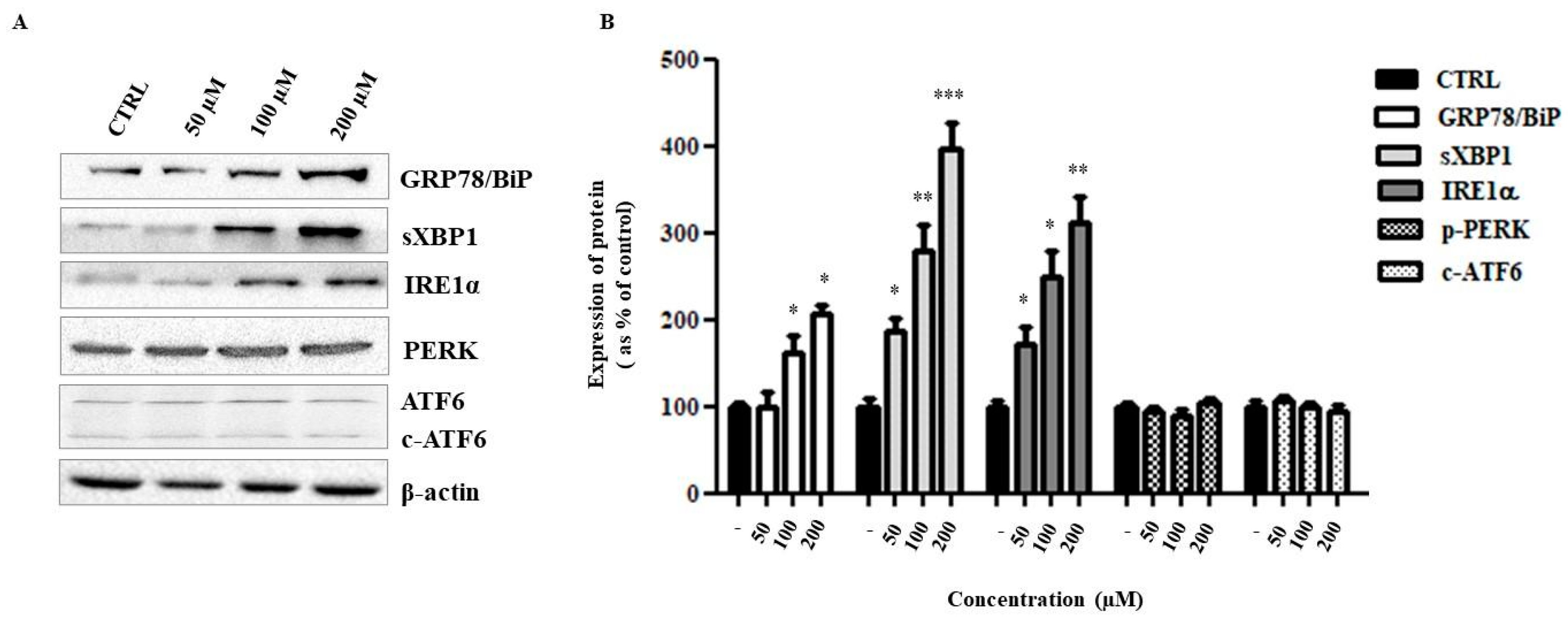 Ijms 24 04552 g007 Ijms 24 04552 g007