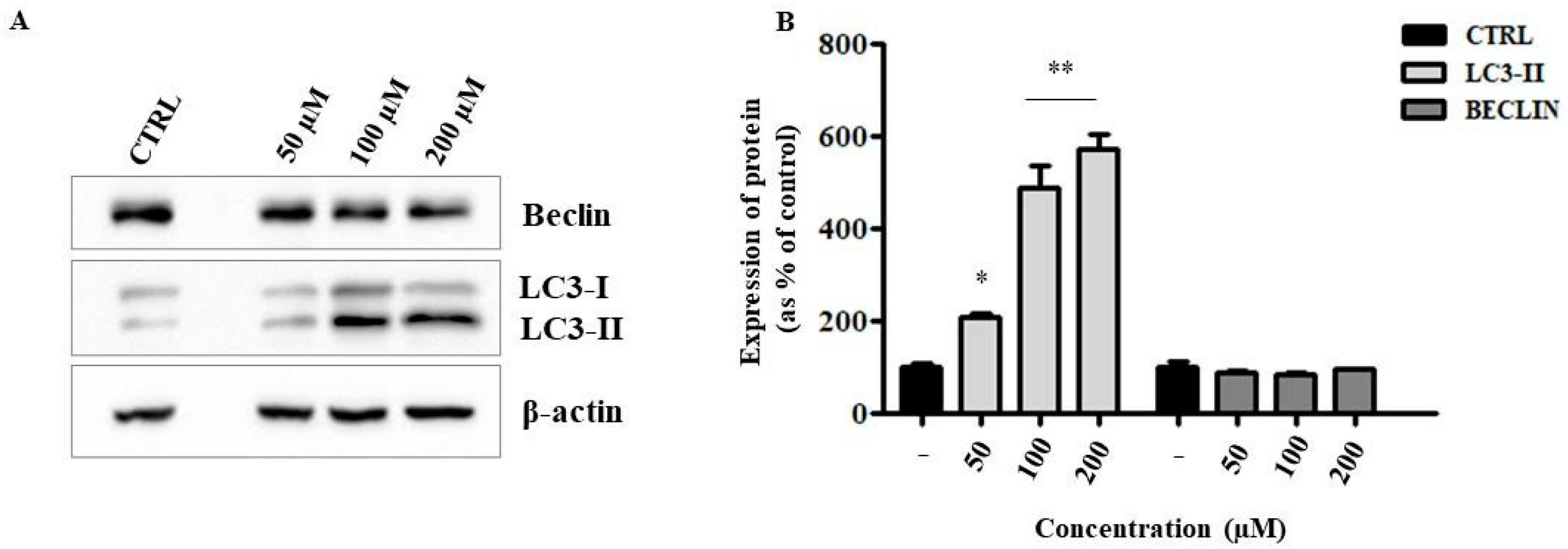 Ijms 24 04552 g008 Ijms 24 04552 g008