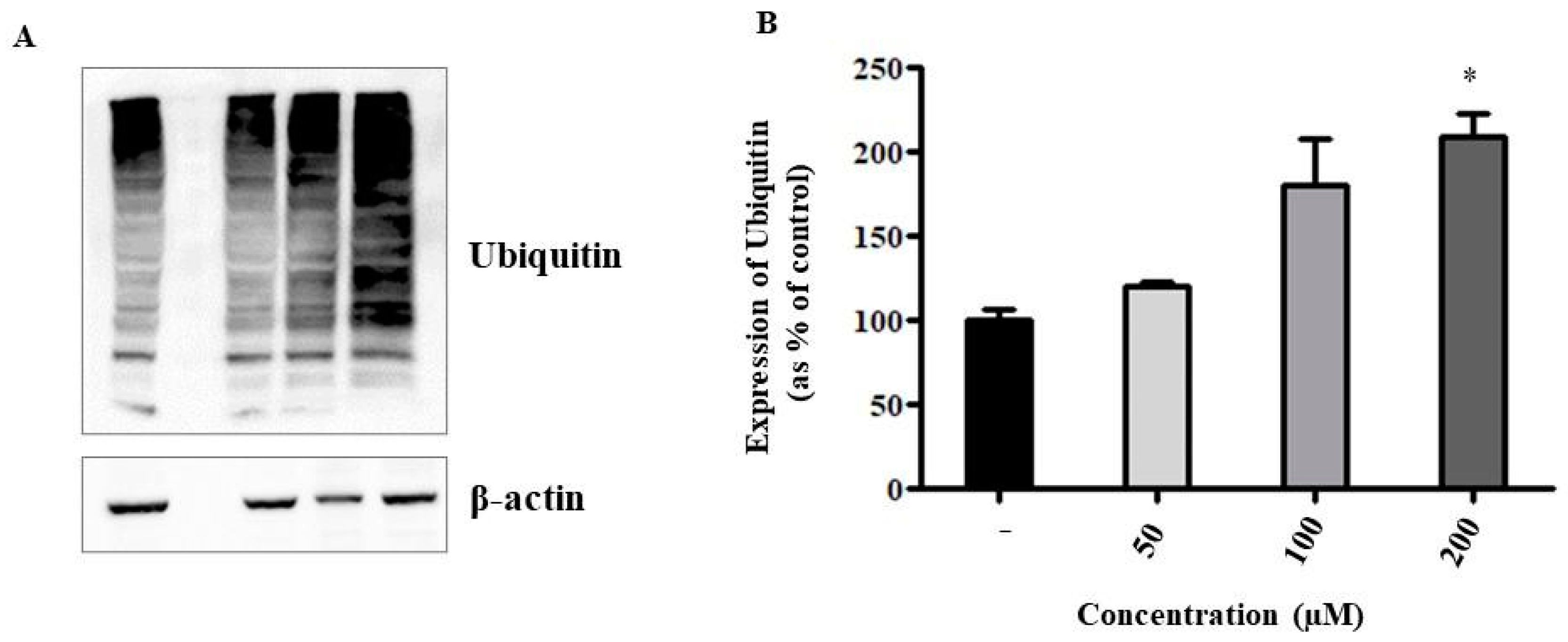 Ijms 24 04552 g009 Ijms 24 04552 g009
