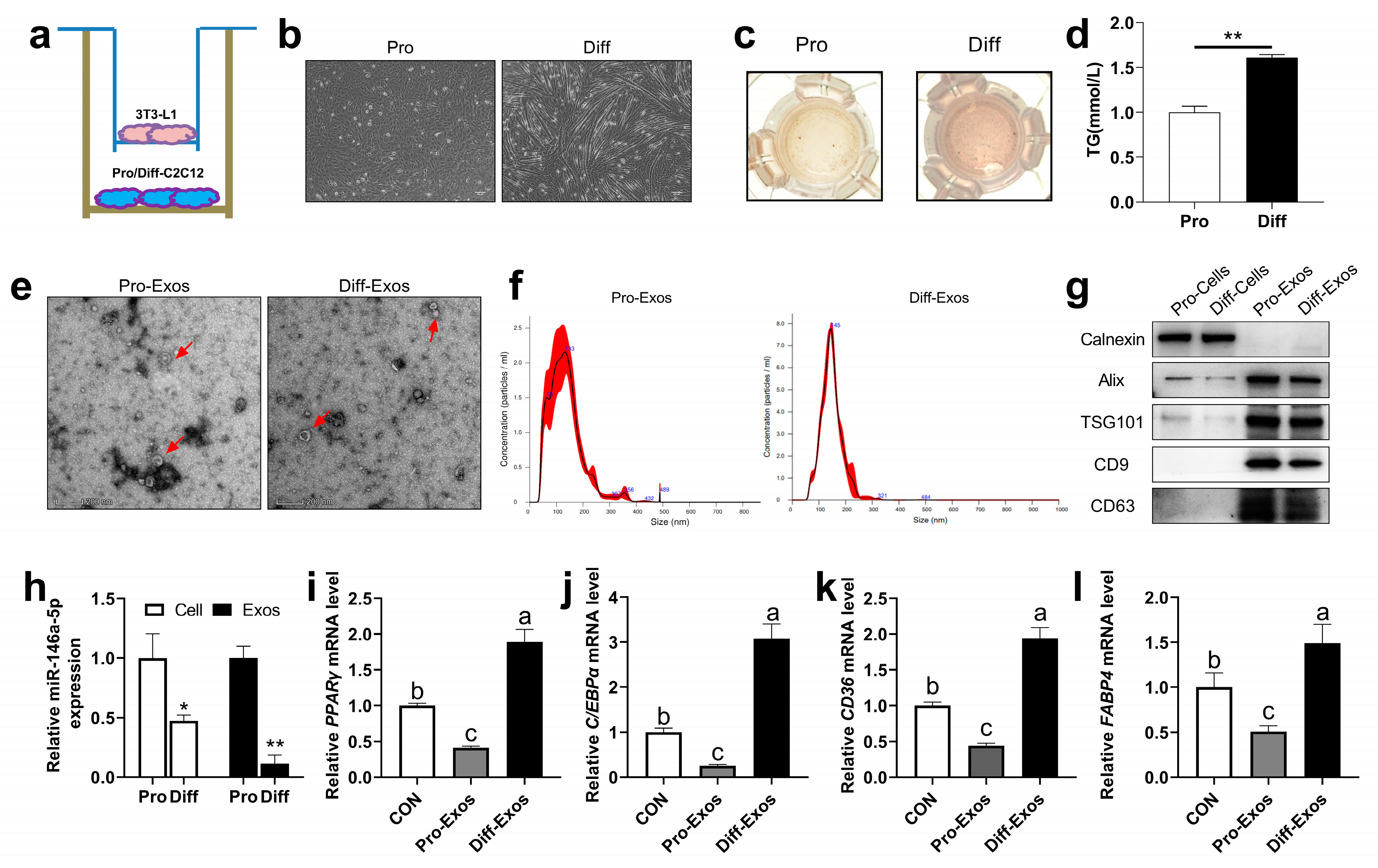 Ijms 24 04561 g001 Ijms 24 04561 g001