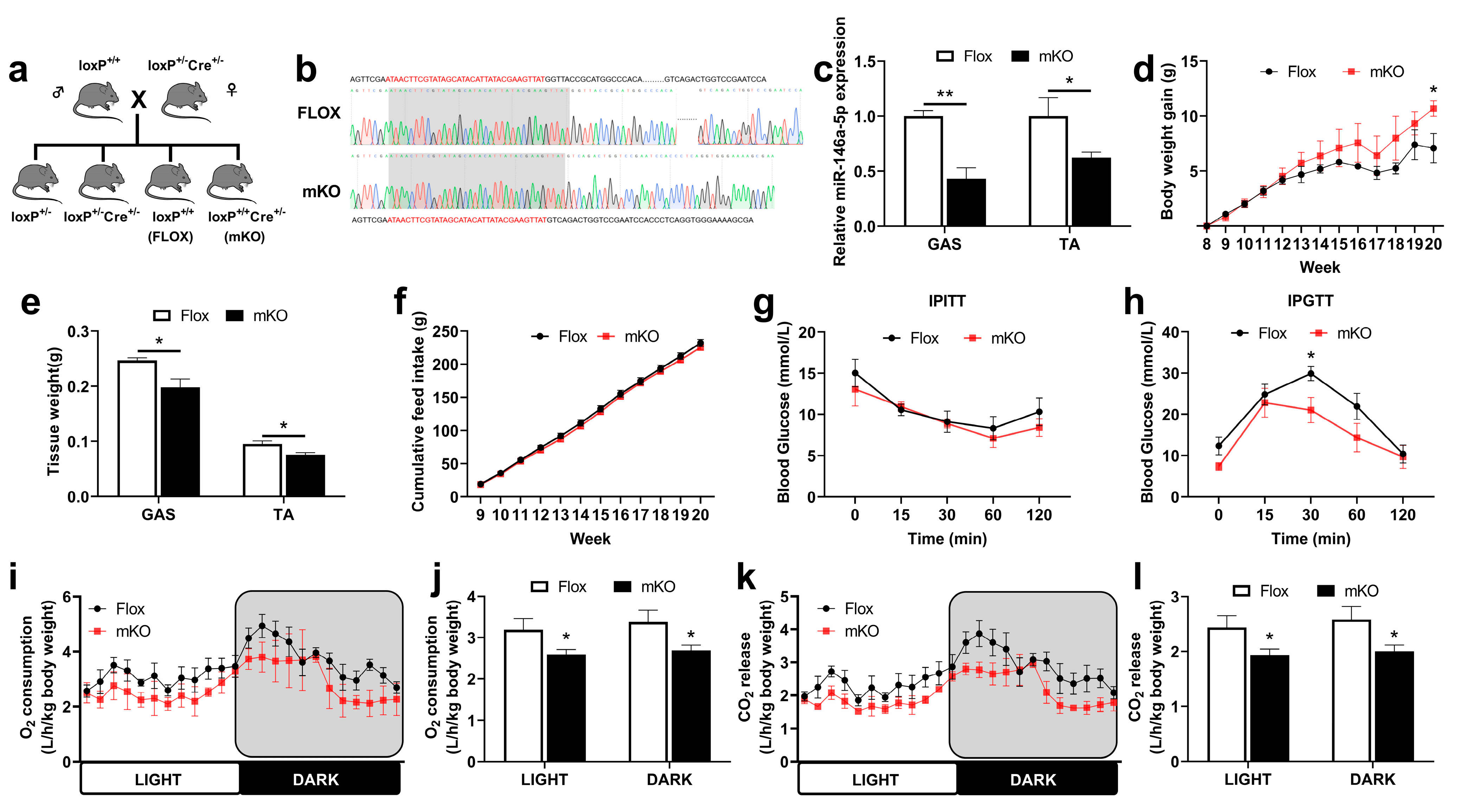 Ijms 24 04561 g005 Ijms 24 04561 g005