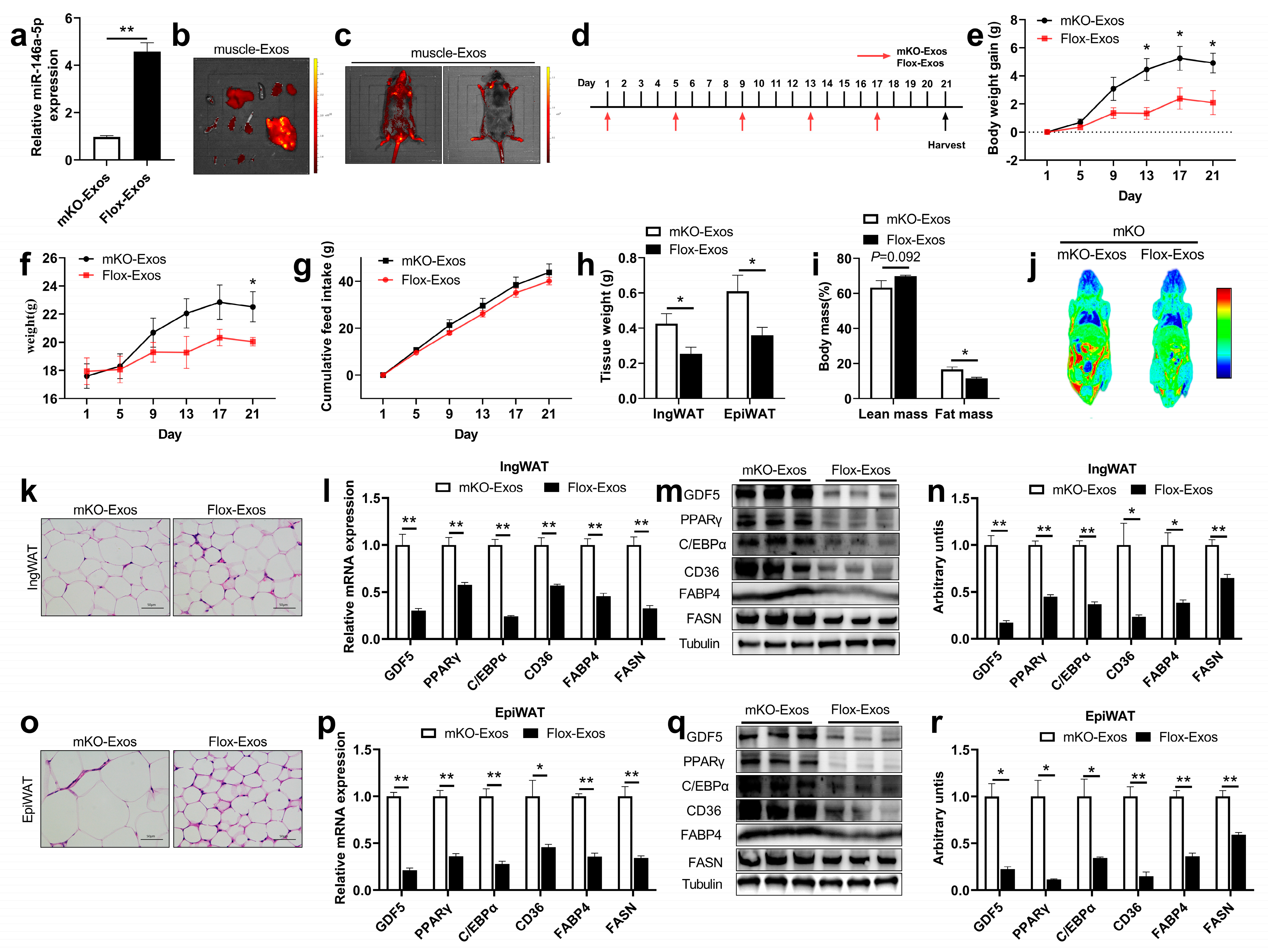 Ijms 24 04561 g007 Ijms 24 04561 g007