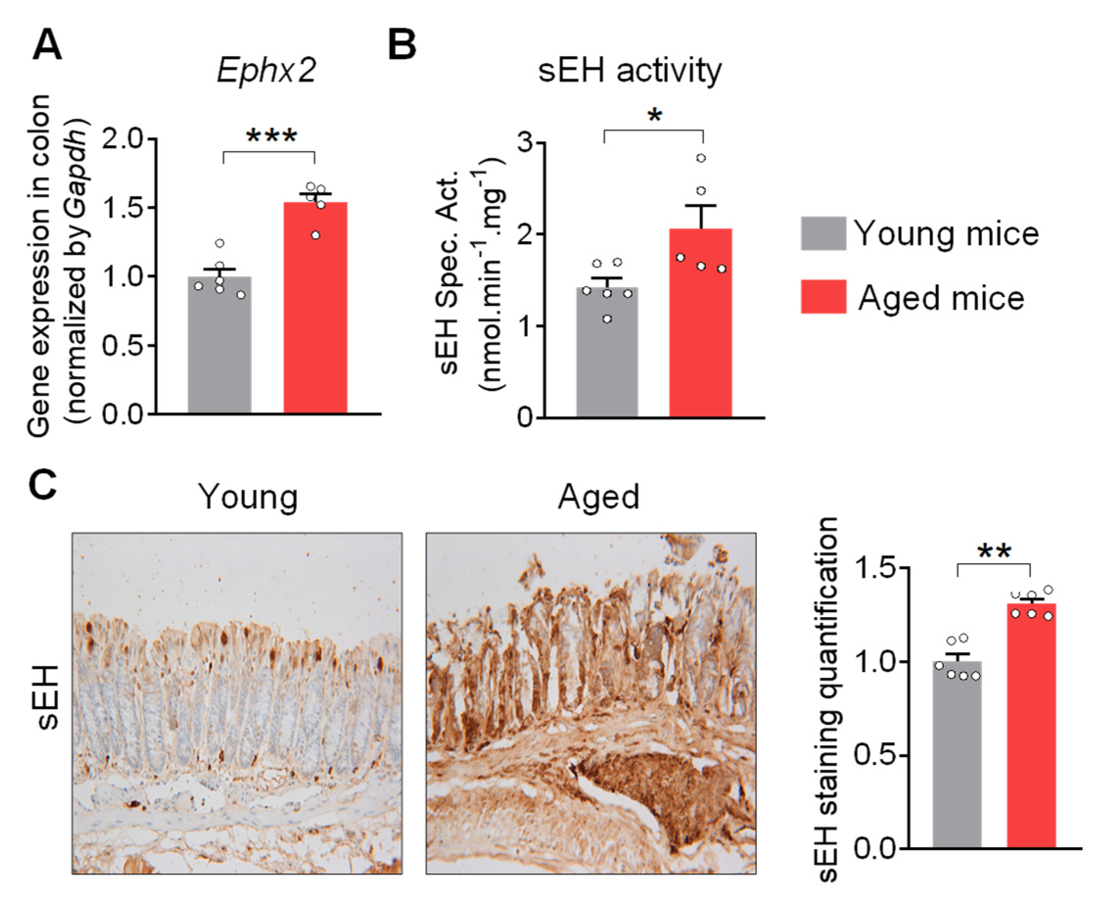 Ijms 24 04570 g001 Ijms 24 04570 g001