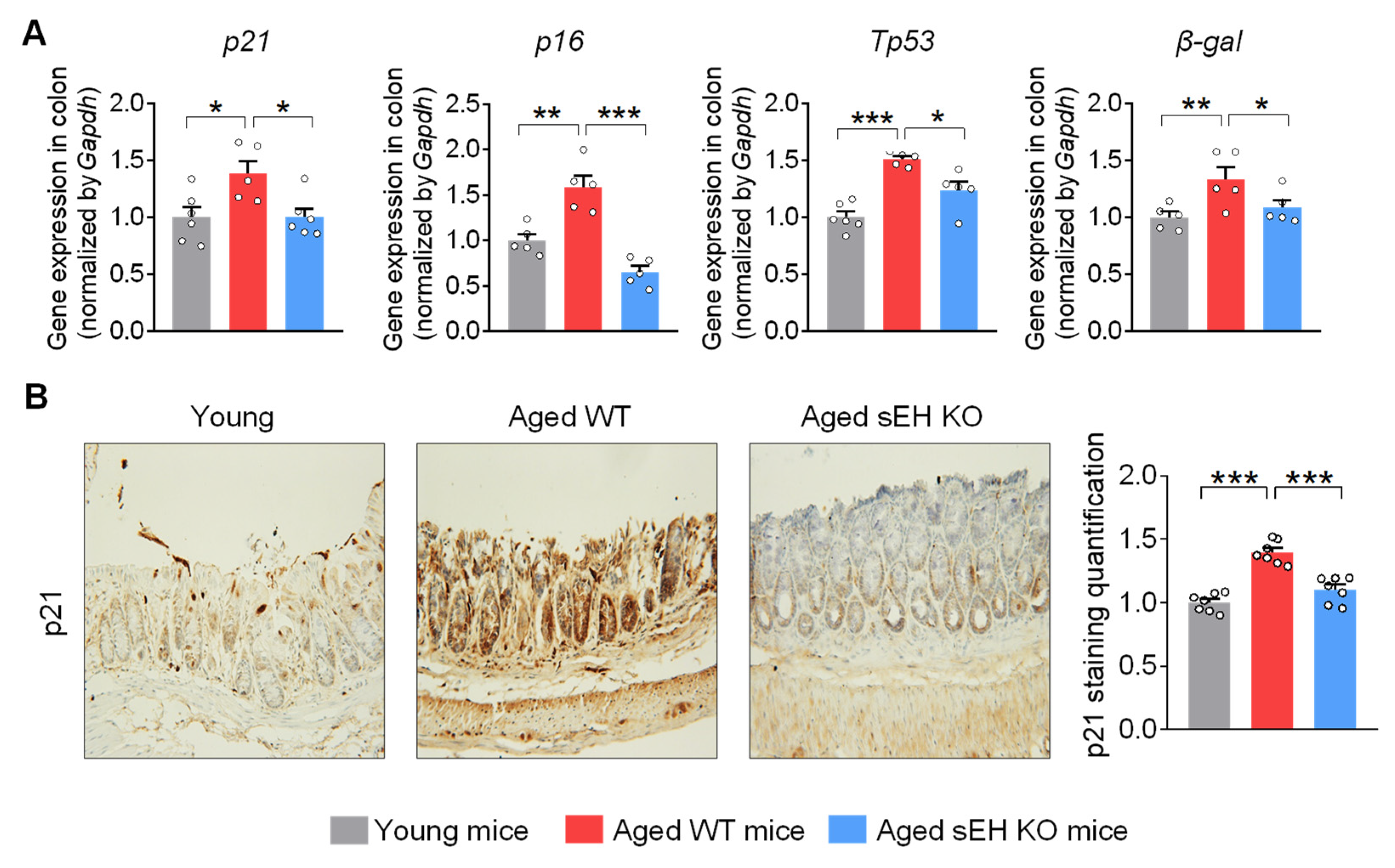 Ijms 24 04570 g002 Ijms 24 04570 g002