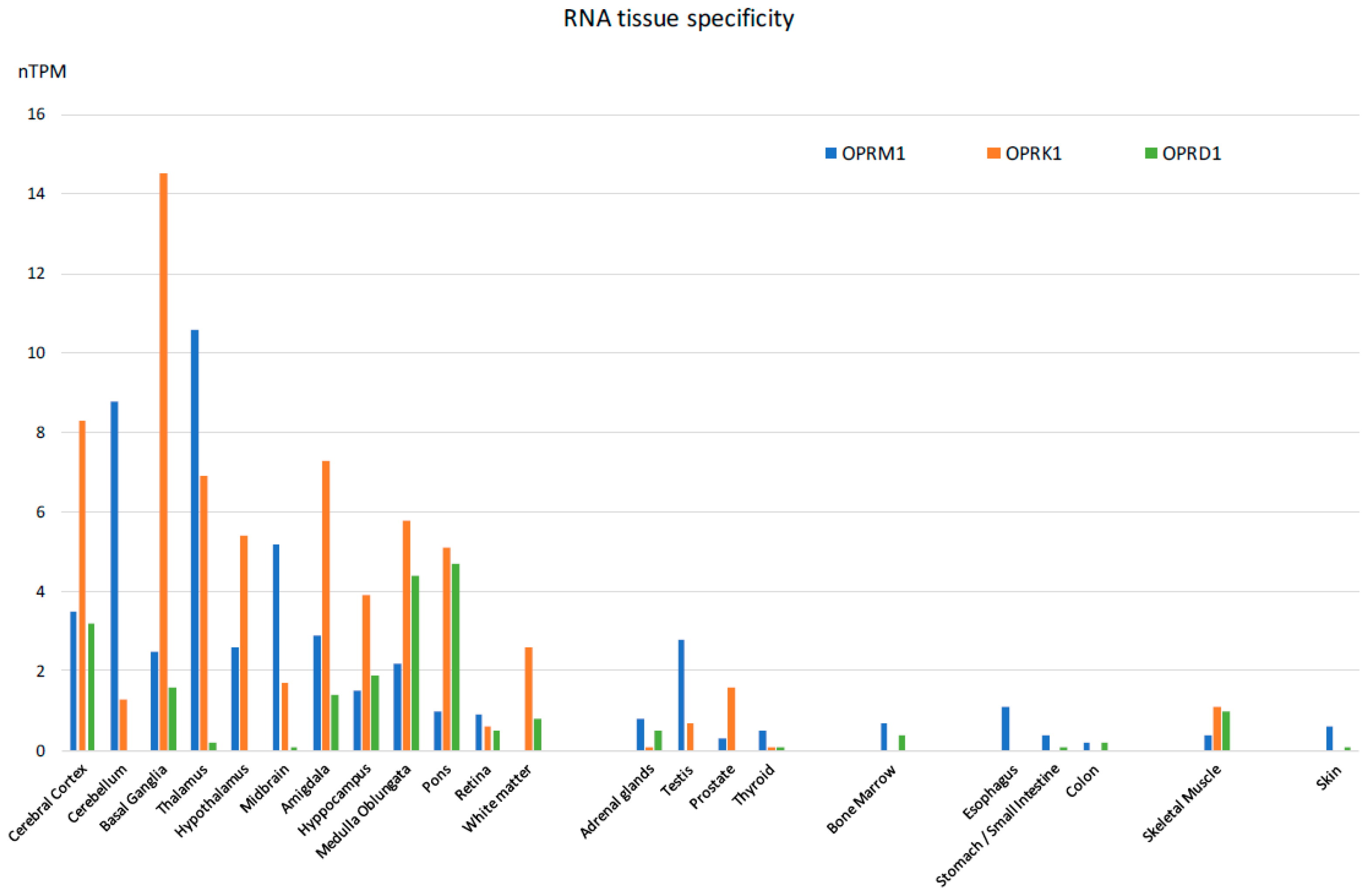 Ijms 24 04575 g004 Ijms 24 04575 g004