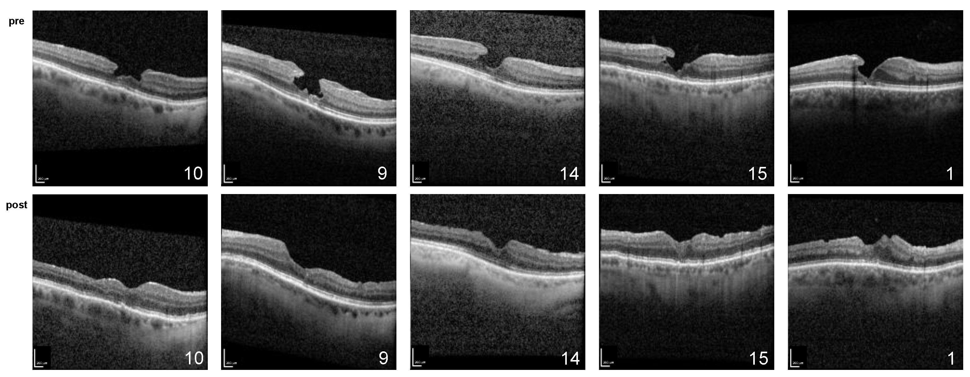 Ijms 24 04589 g001 Ijms 24 04589 g001