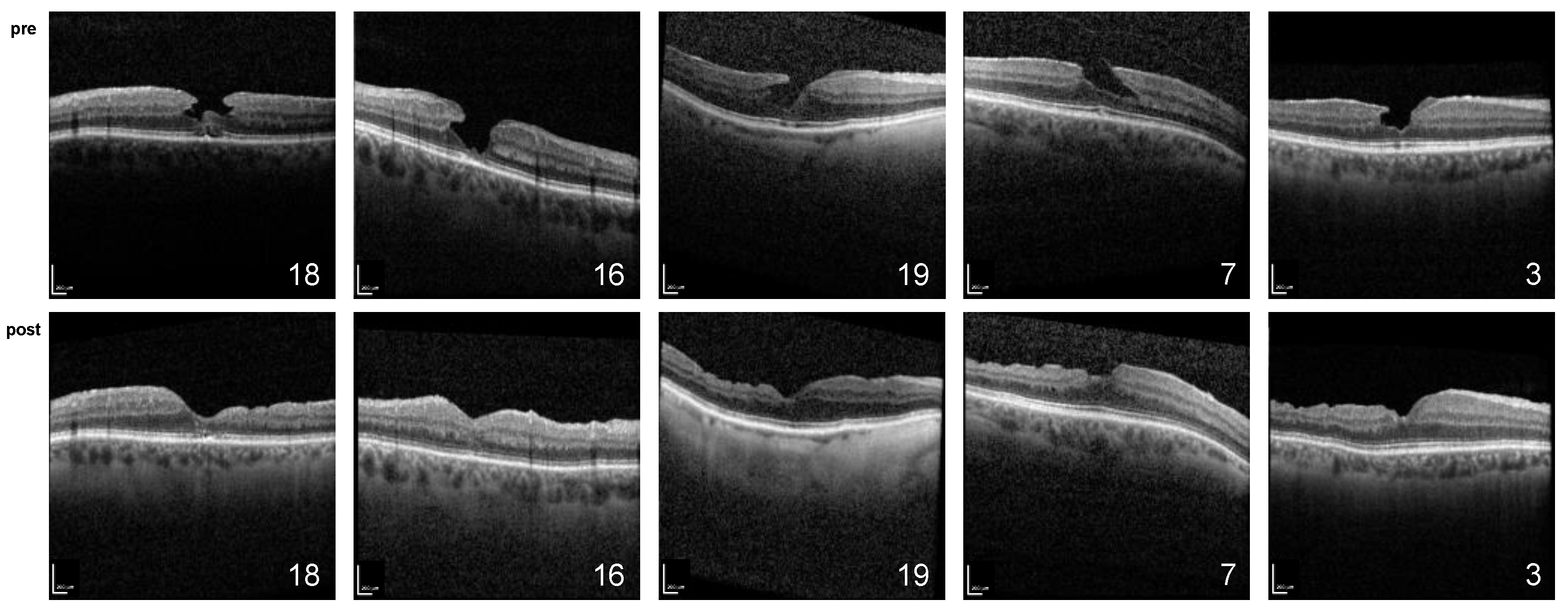 Ijms 24 04589 g002 Ijms 24 04589 g002