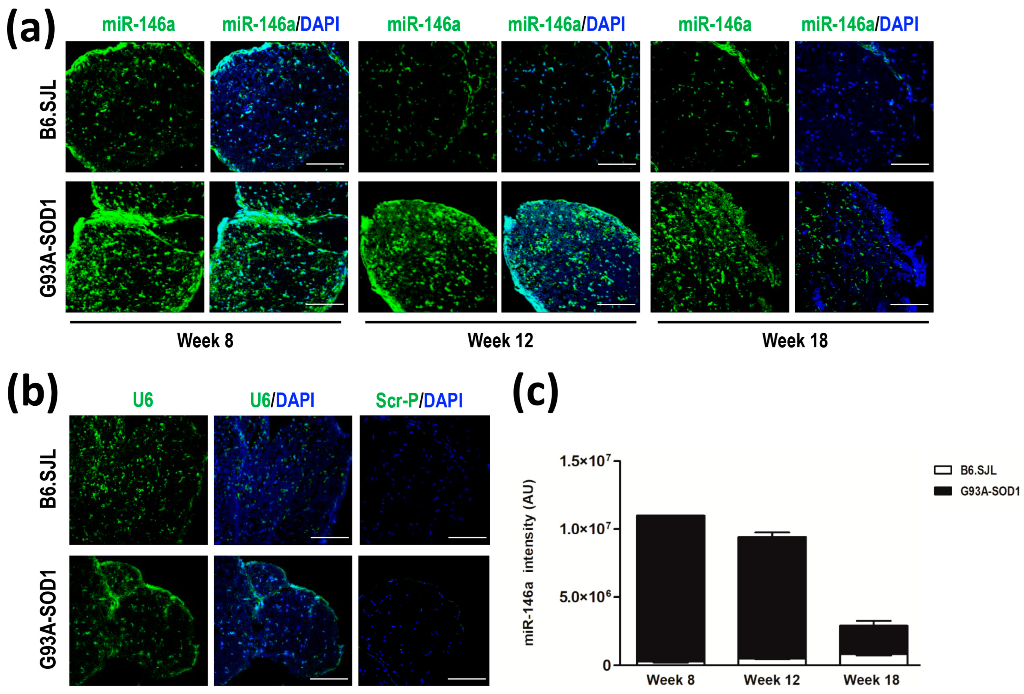 Ijms 24 04610 g003 Ijms 24 04610 g003