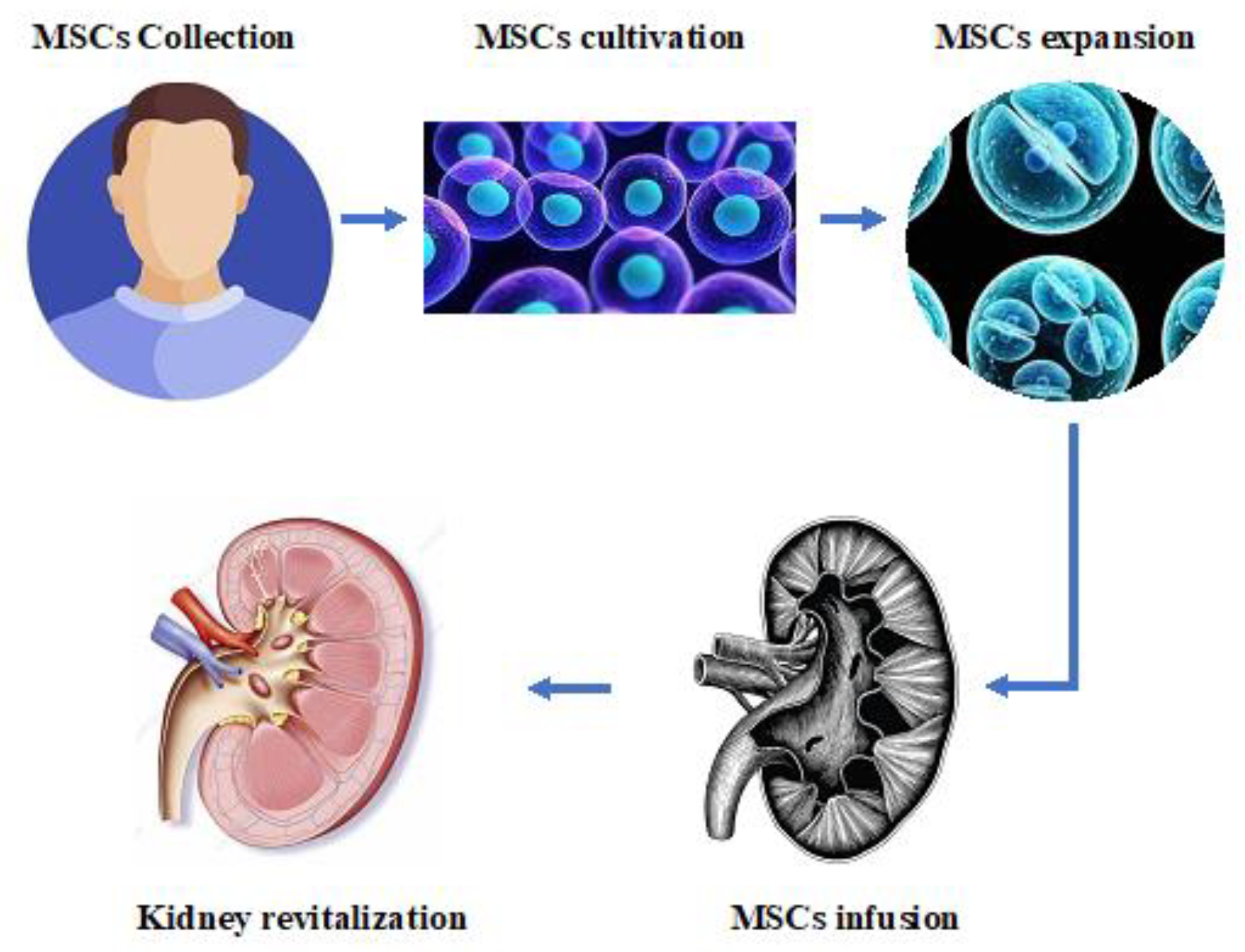 Ijms 24 04631 g002 Ijms 24 04631 g002