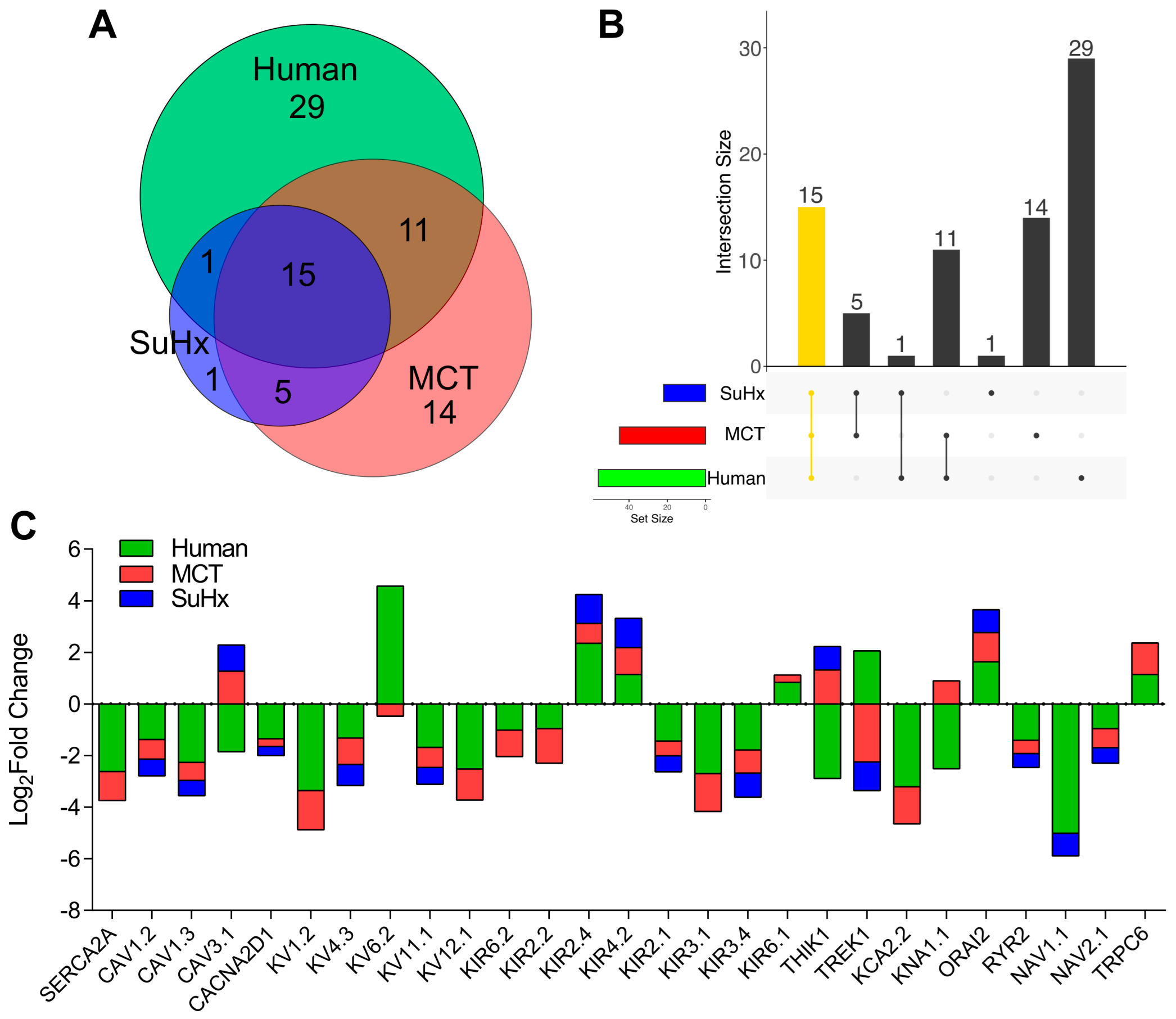 Ijms 24 04633 g002 Ijms 24 04633 g002