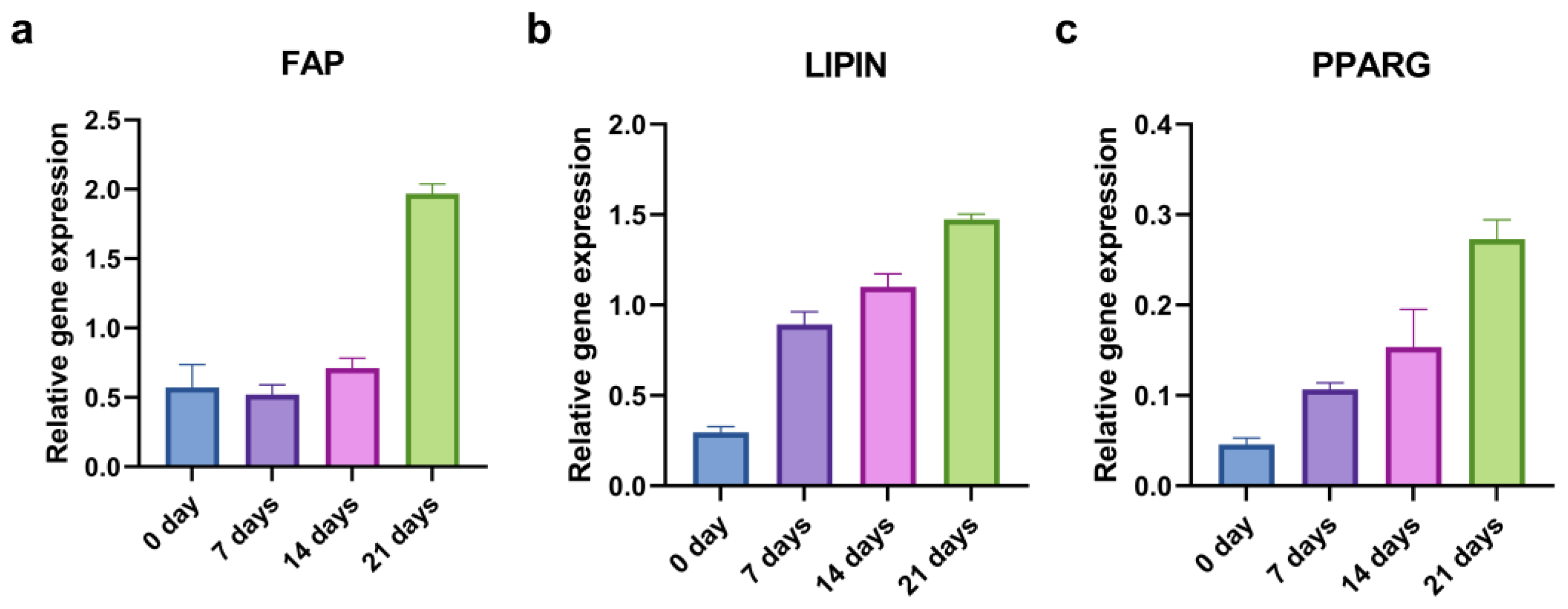 Ijms 24 04704 g008 Ijms 24 04704 g008