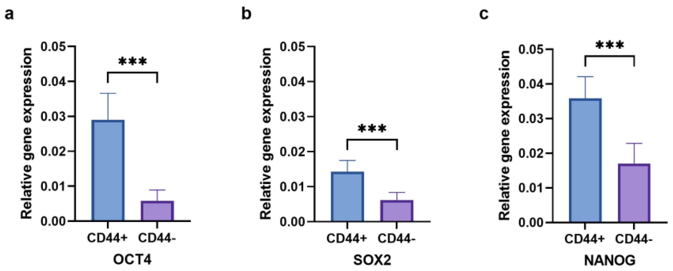 Ijms 24 04704 g009 Ijms 24 04704 g009