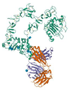 Ijms 24 04722 i019 Ijms 24 04722 i019