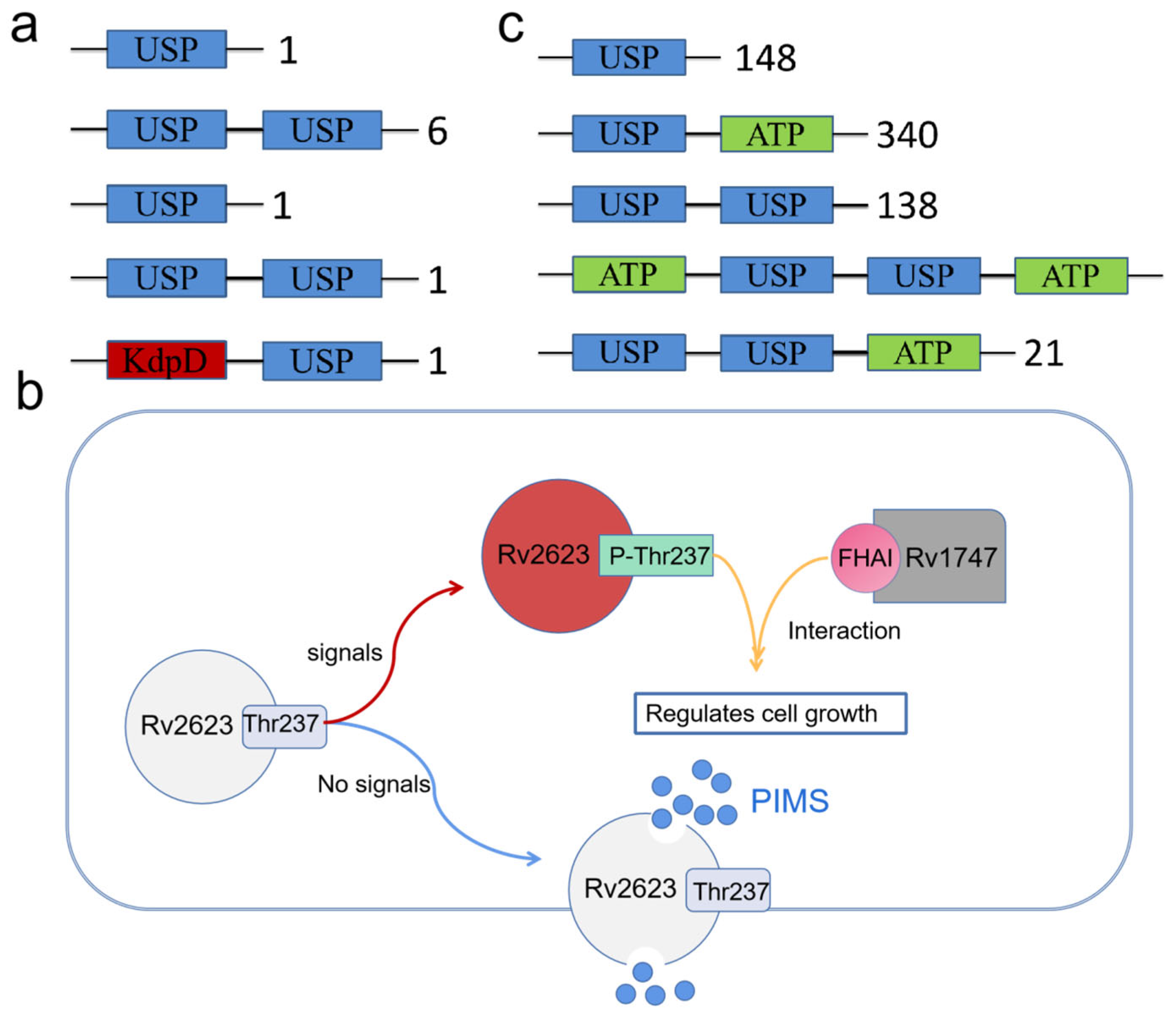 Ijms 24 04725 g003 Ijms 24 04725 g003