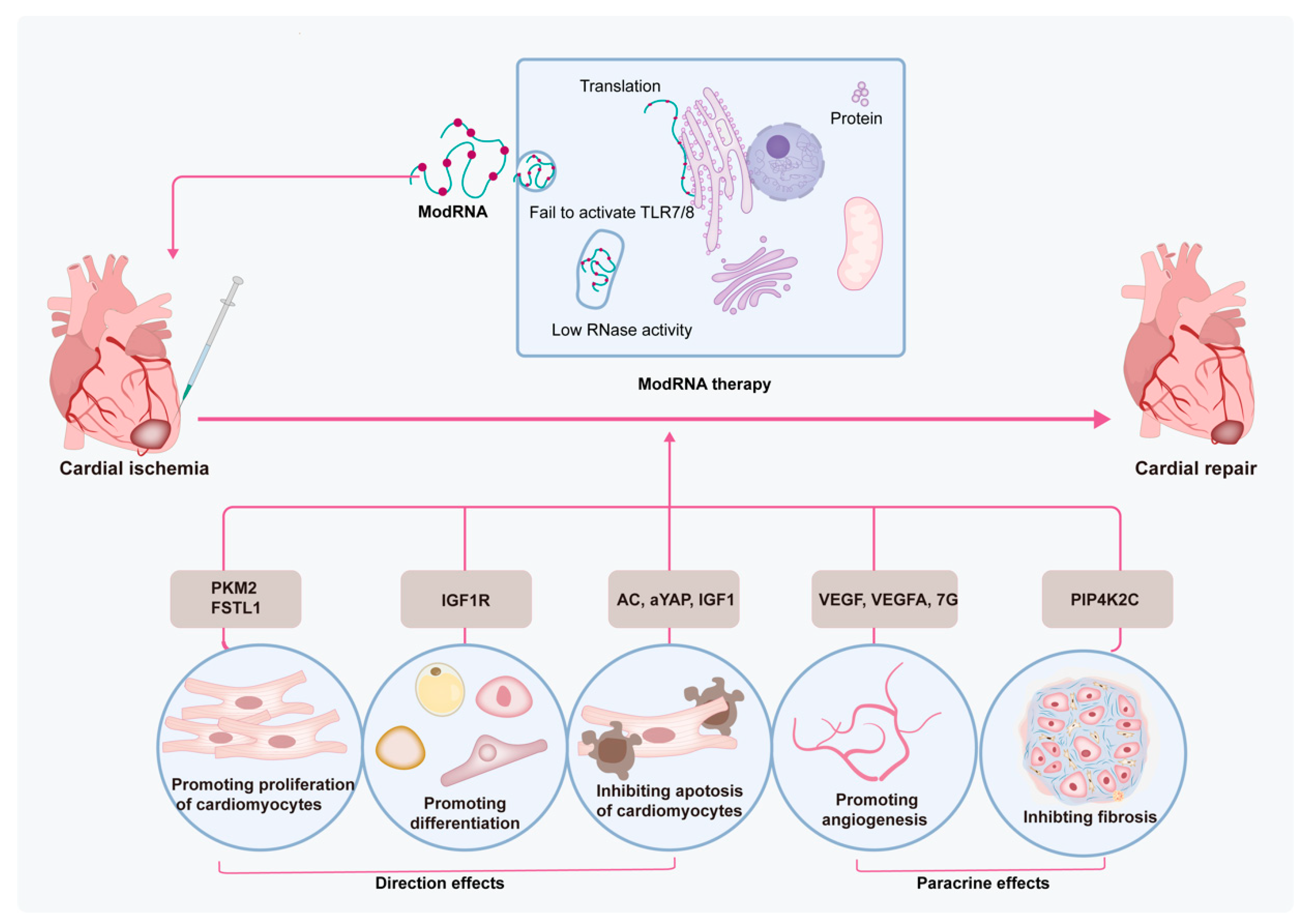 Ijms 24 04737 g002 Ijms 24 04737 g002