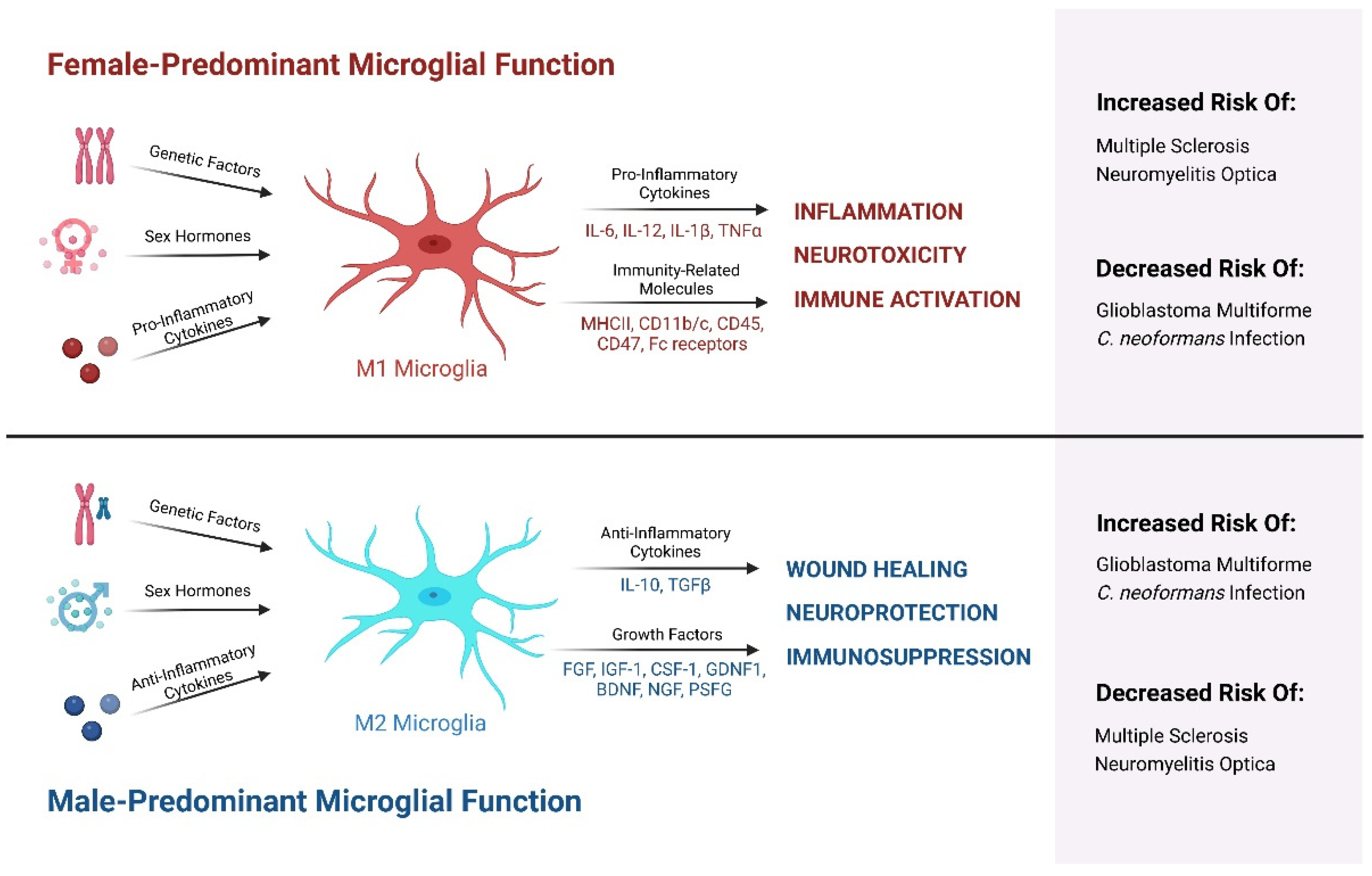Ijms 24 04739 g002 Ijms 24 04739 g002