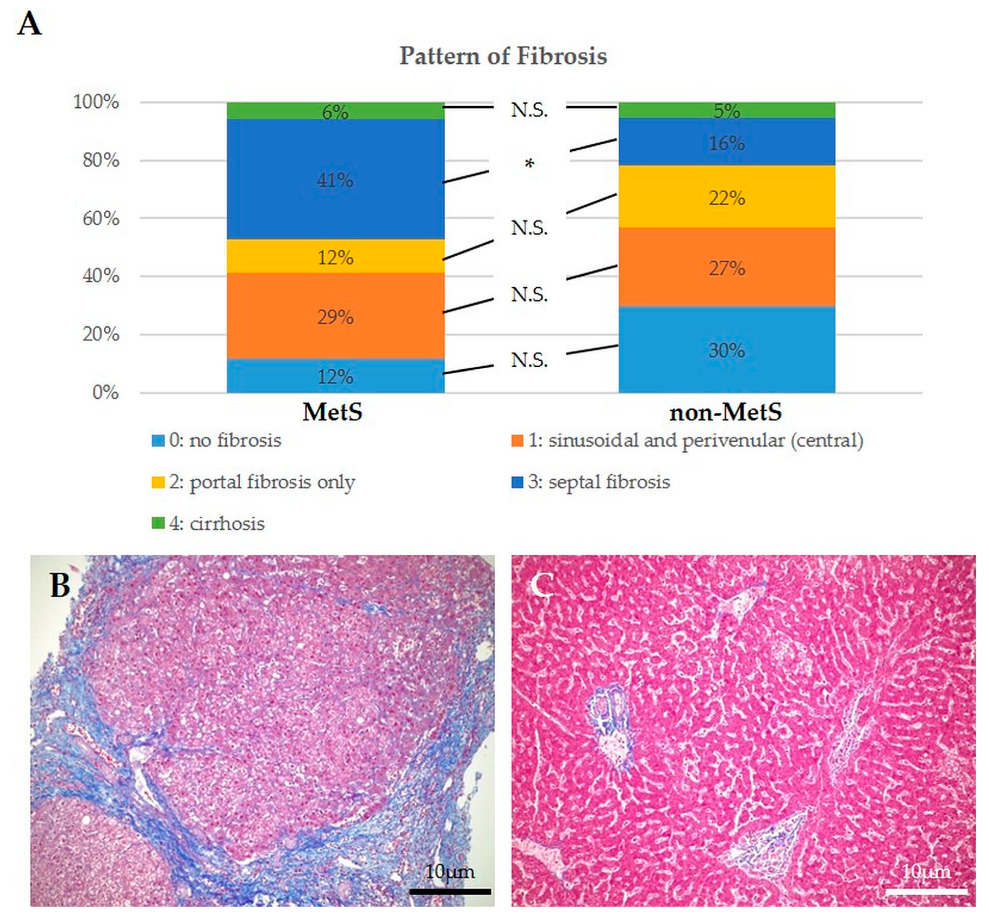 Ijms 24 04748 g003 Ijms 24 04748 g003