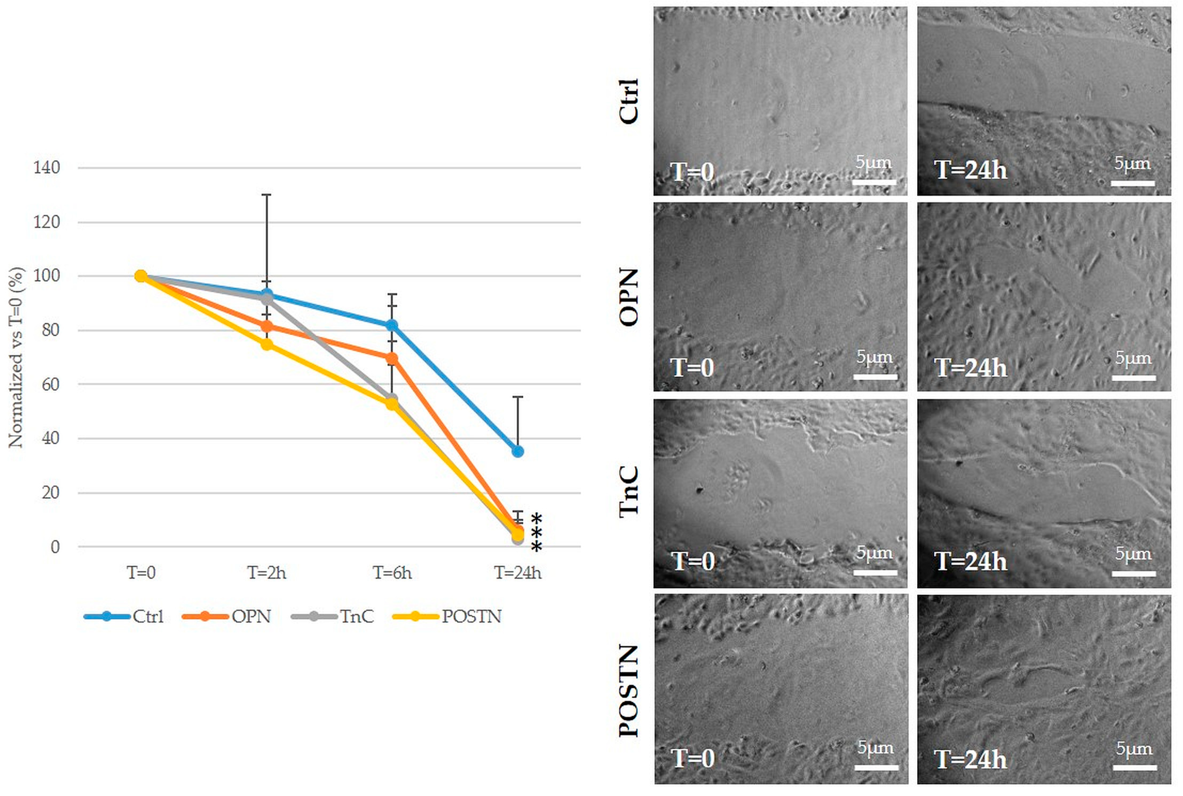 Ijms 24 04748 g006 Ijms 24 04748 g006