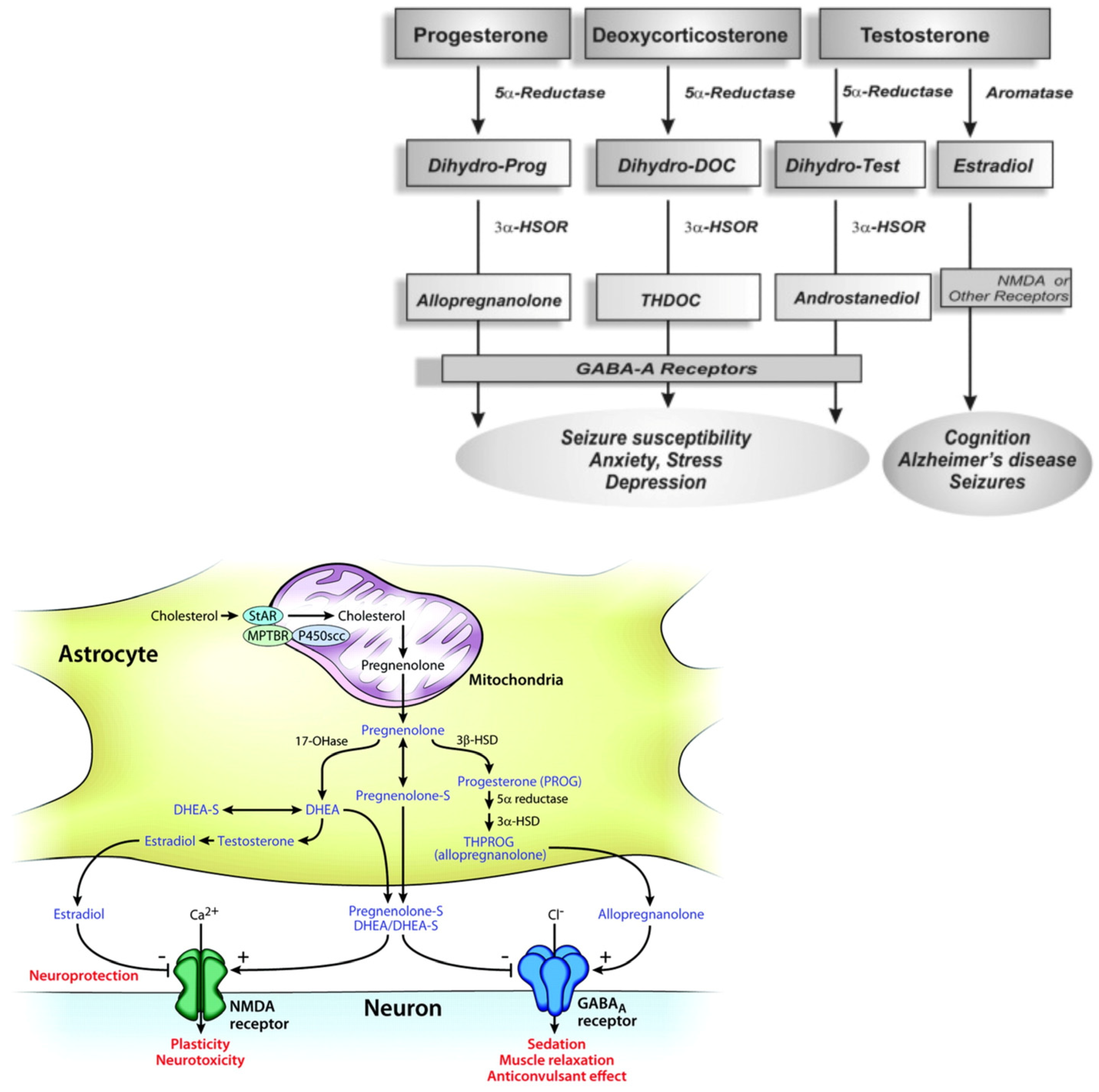 Ijms 24 04758 g001 Ijms 24 04758 g001