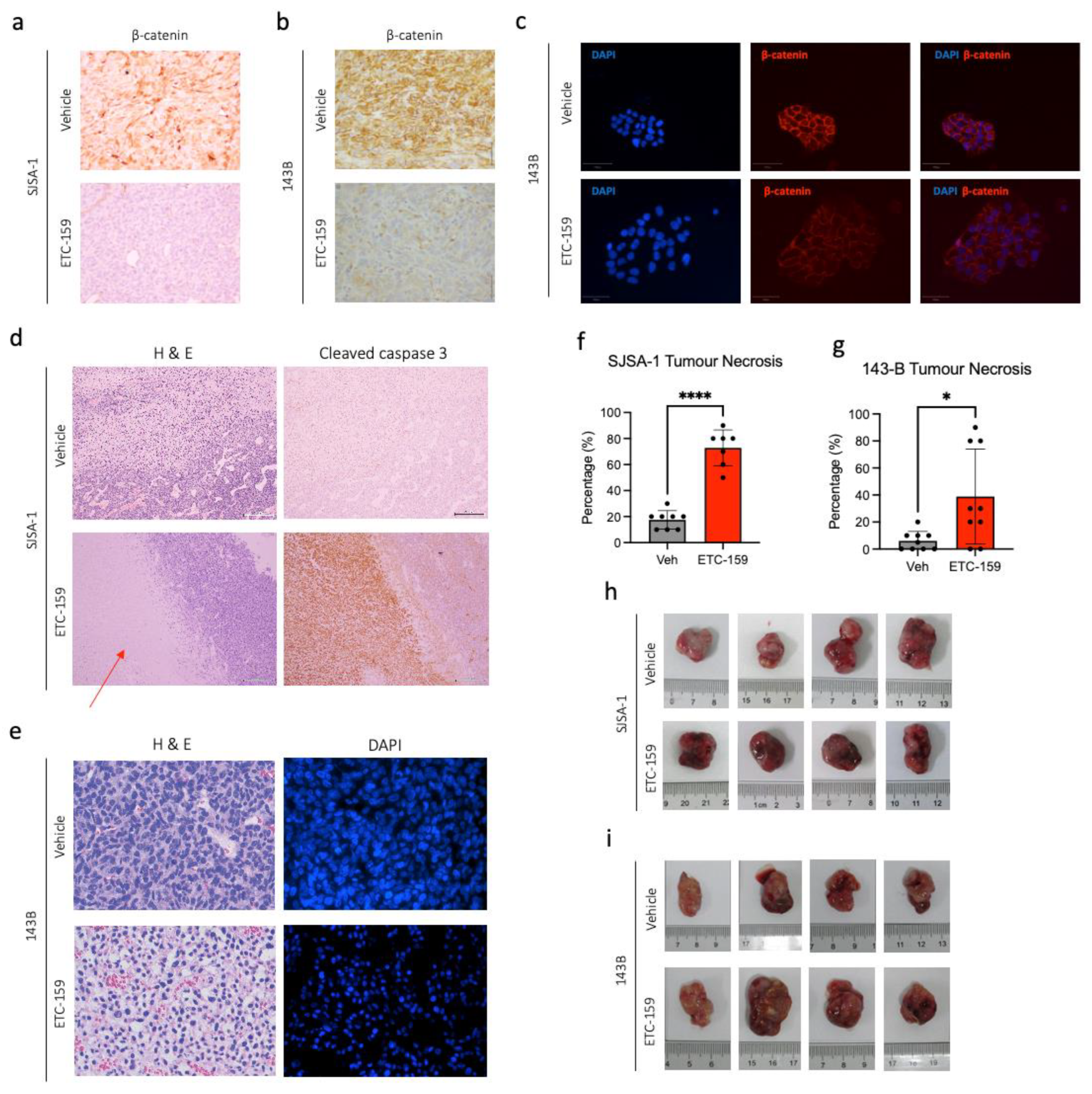 Ijms 24 04759 g002 Ijms 24 04759 g002