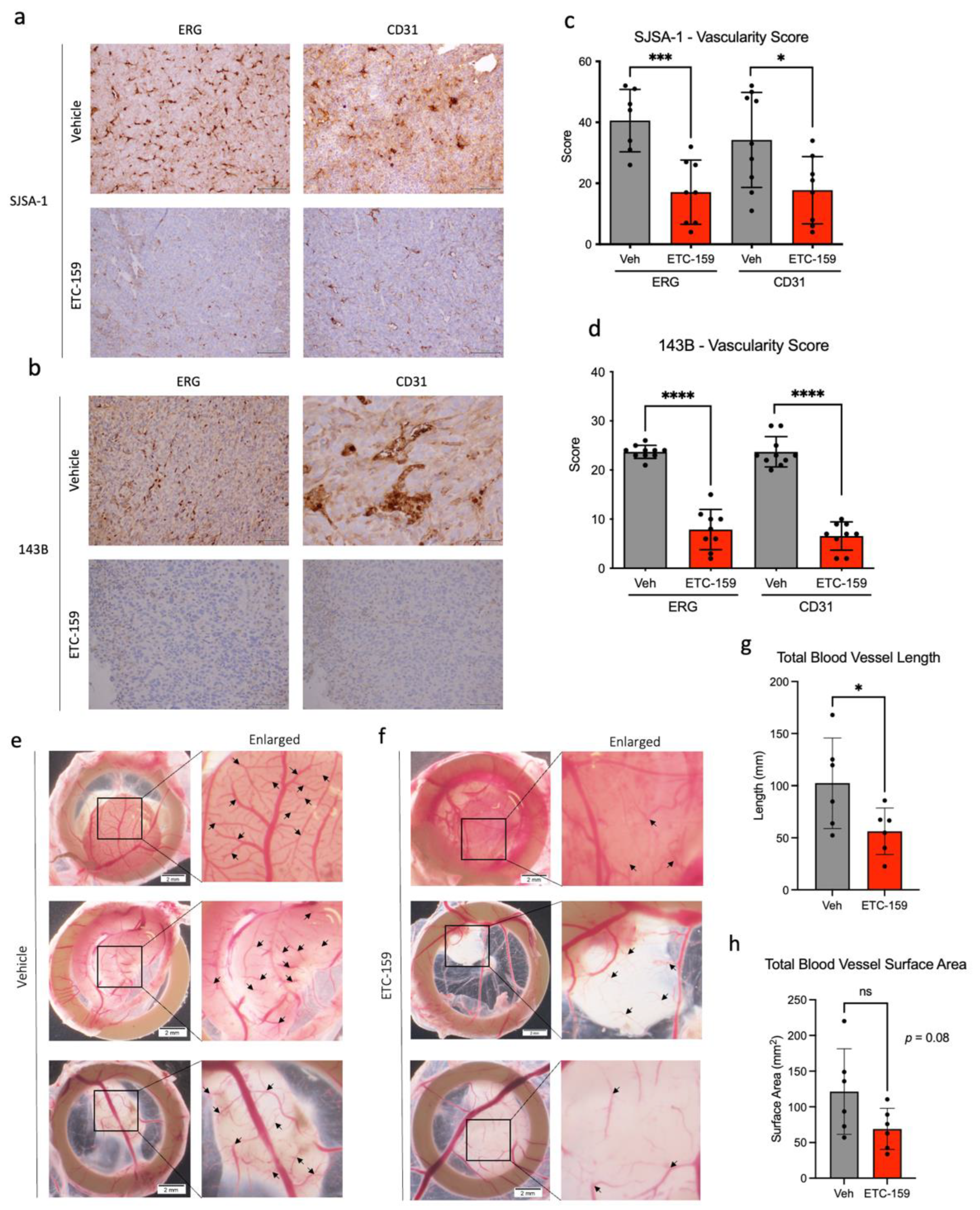 Ijms 24 04759 g003 Ijms 24 04759 g003