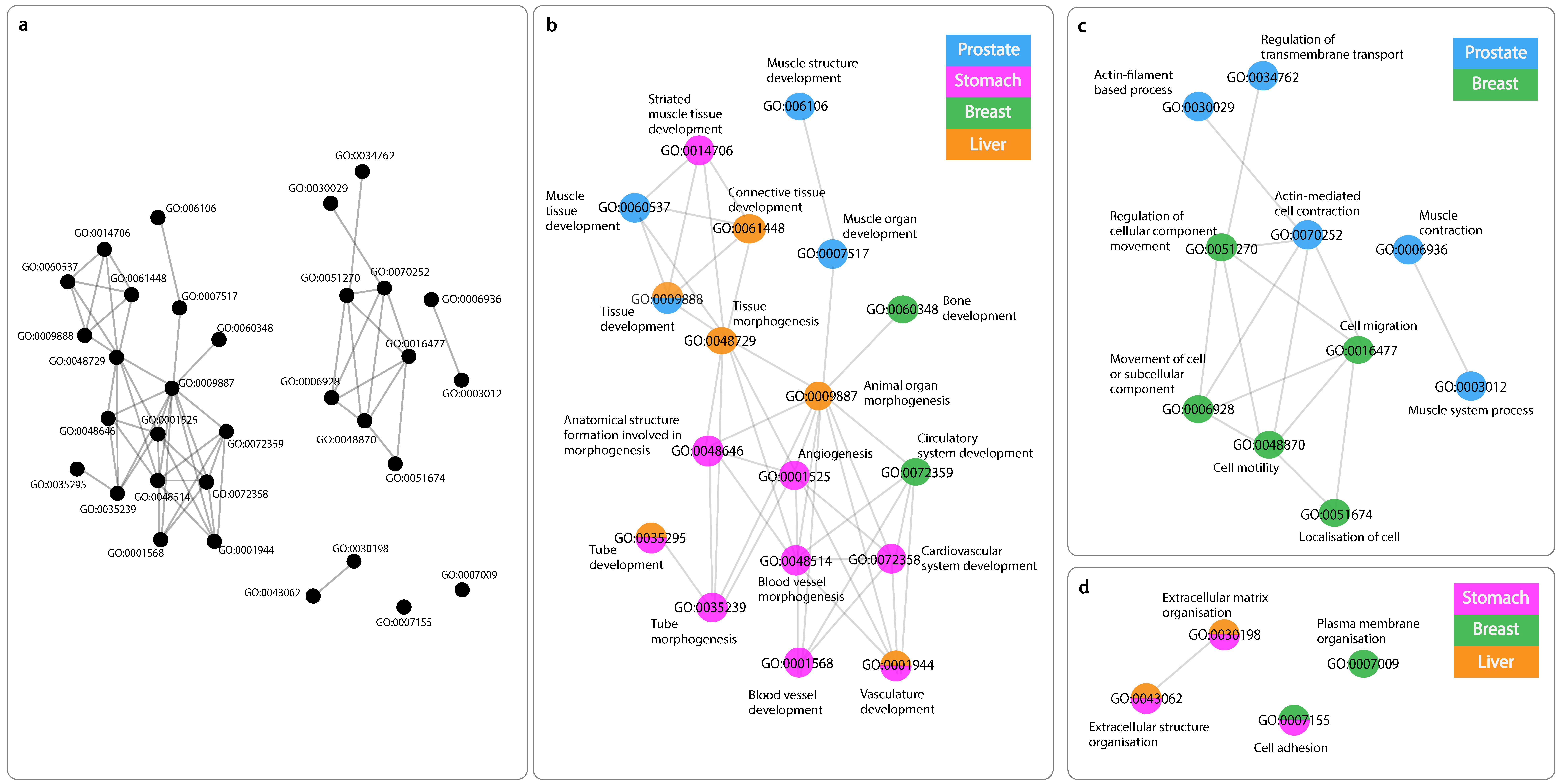Ijms 24 04796 g002 Ijms 24 04796 g002