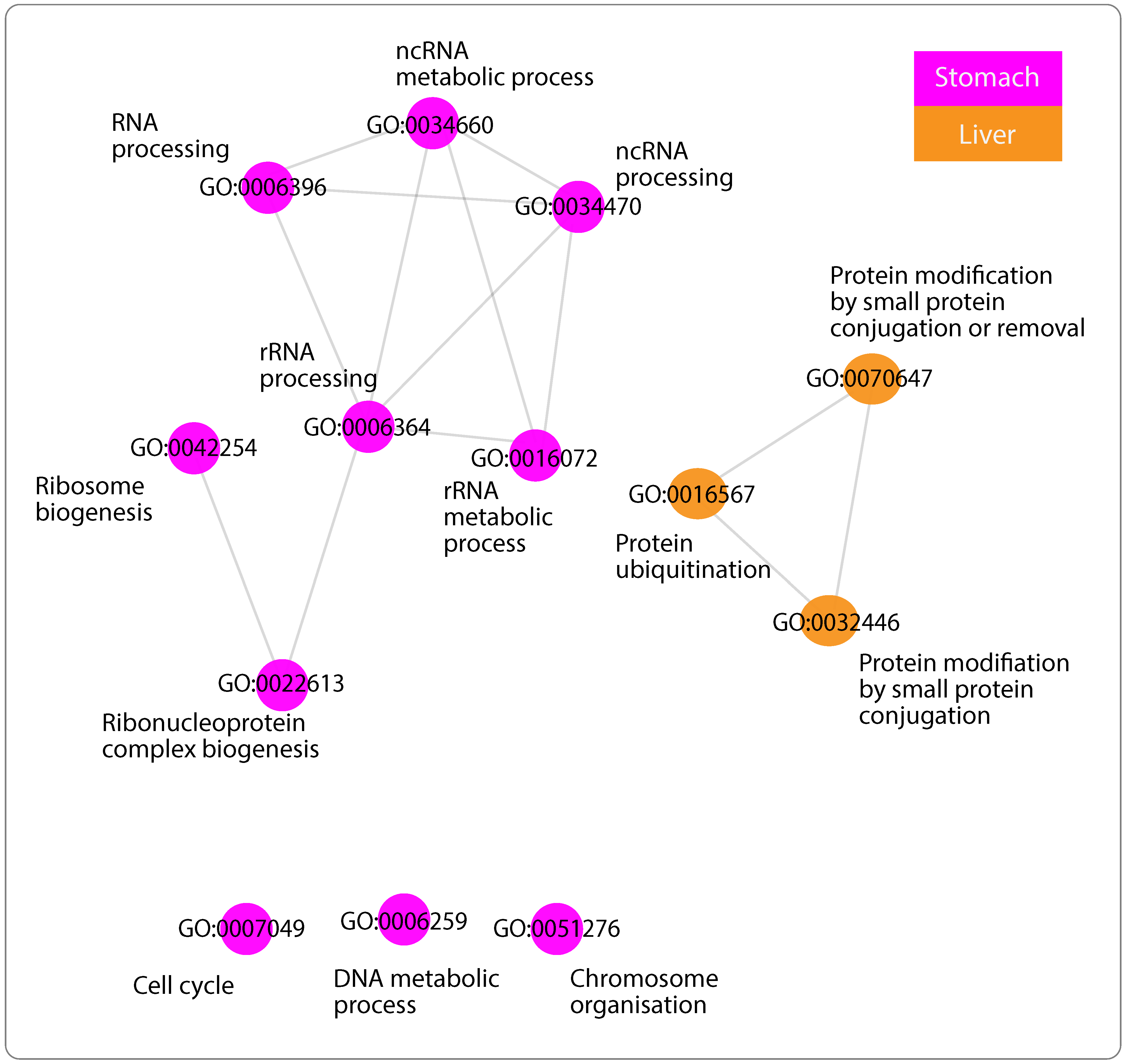 Ijms 24 04796 g003 Ijms 24 04796 g003