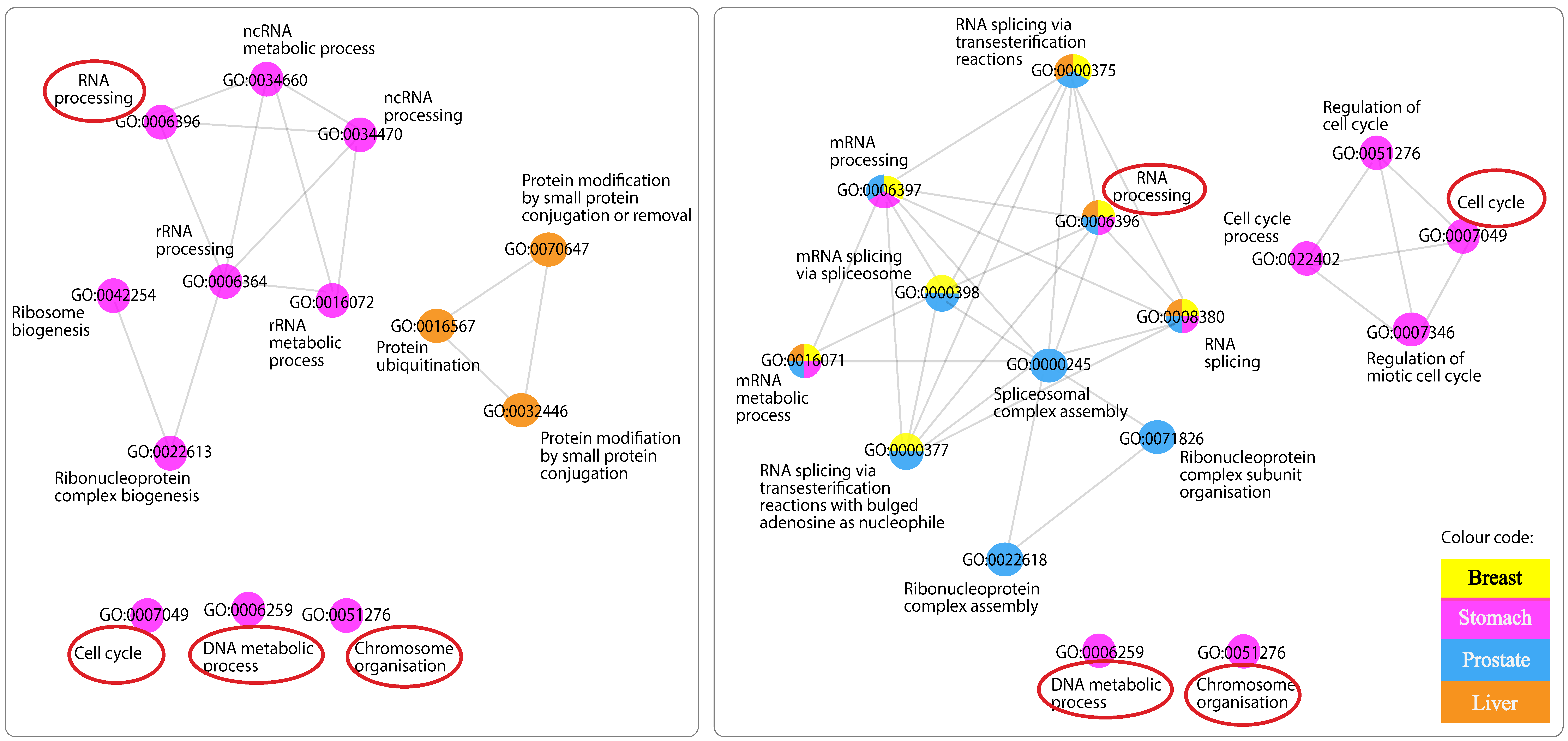 Ijms 24 04796 g005 Ijms 24 04796 g005
